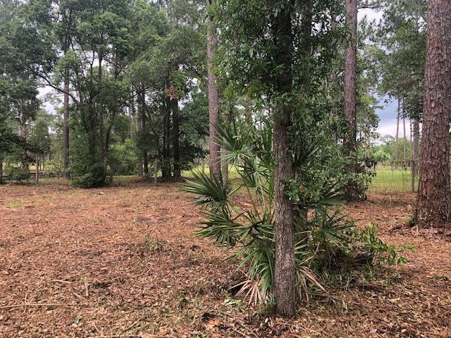 BLACKWATER BAY - Land