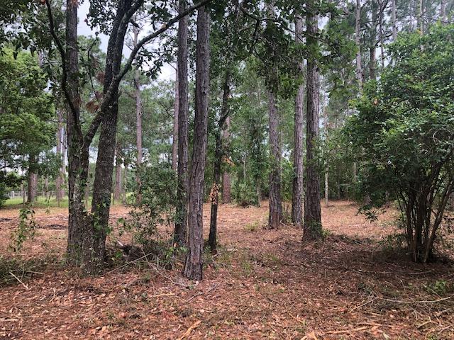 BLACKWATER BAY - Land