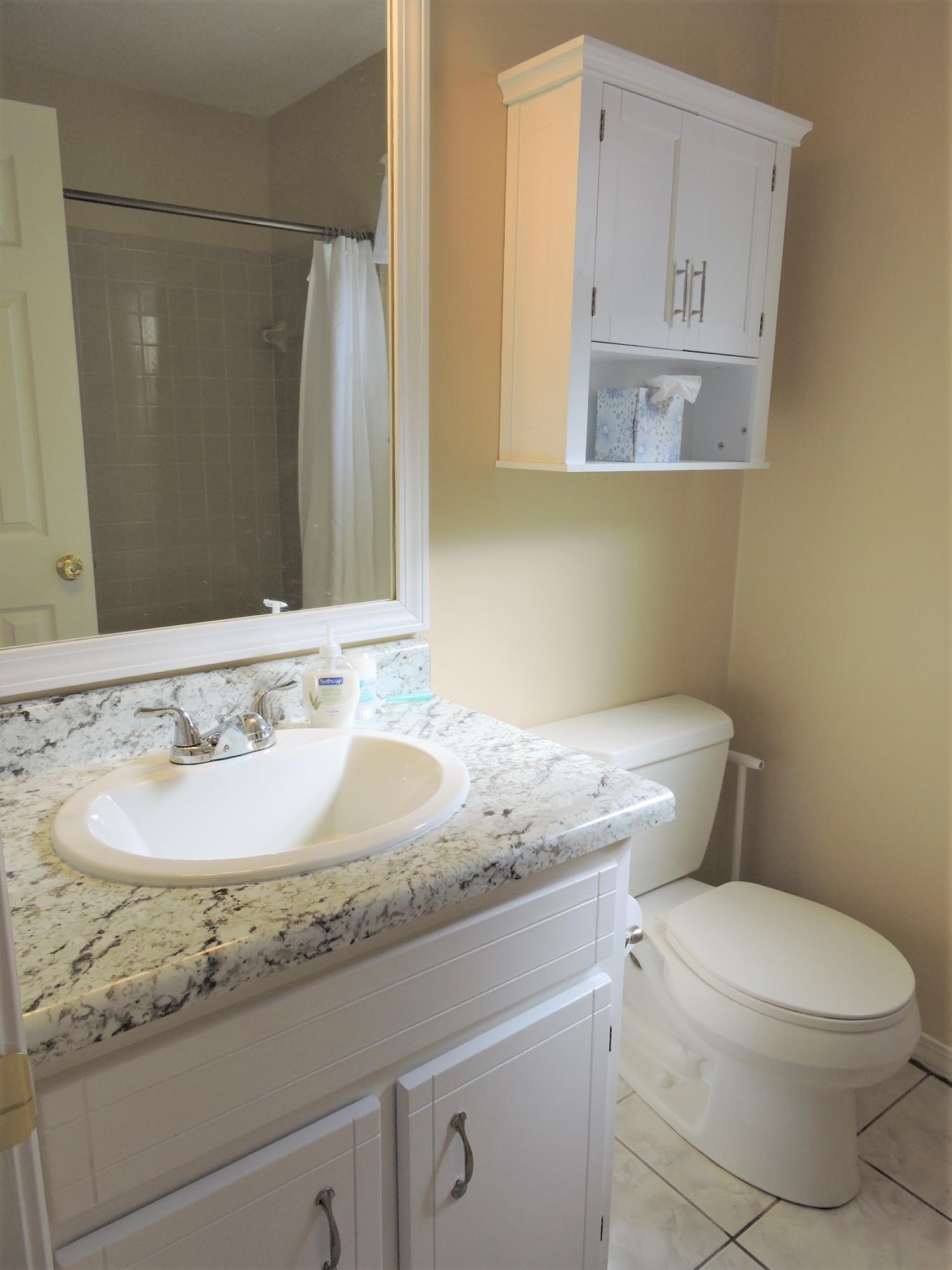 BLUE PINE VILLAGE PH 1 - Residential