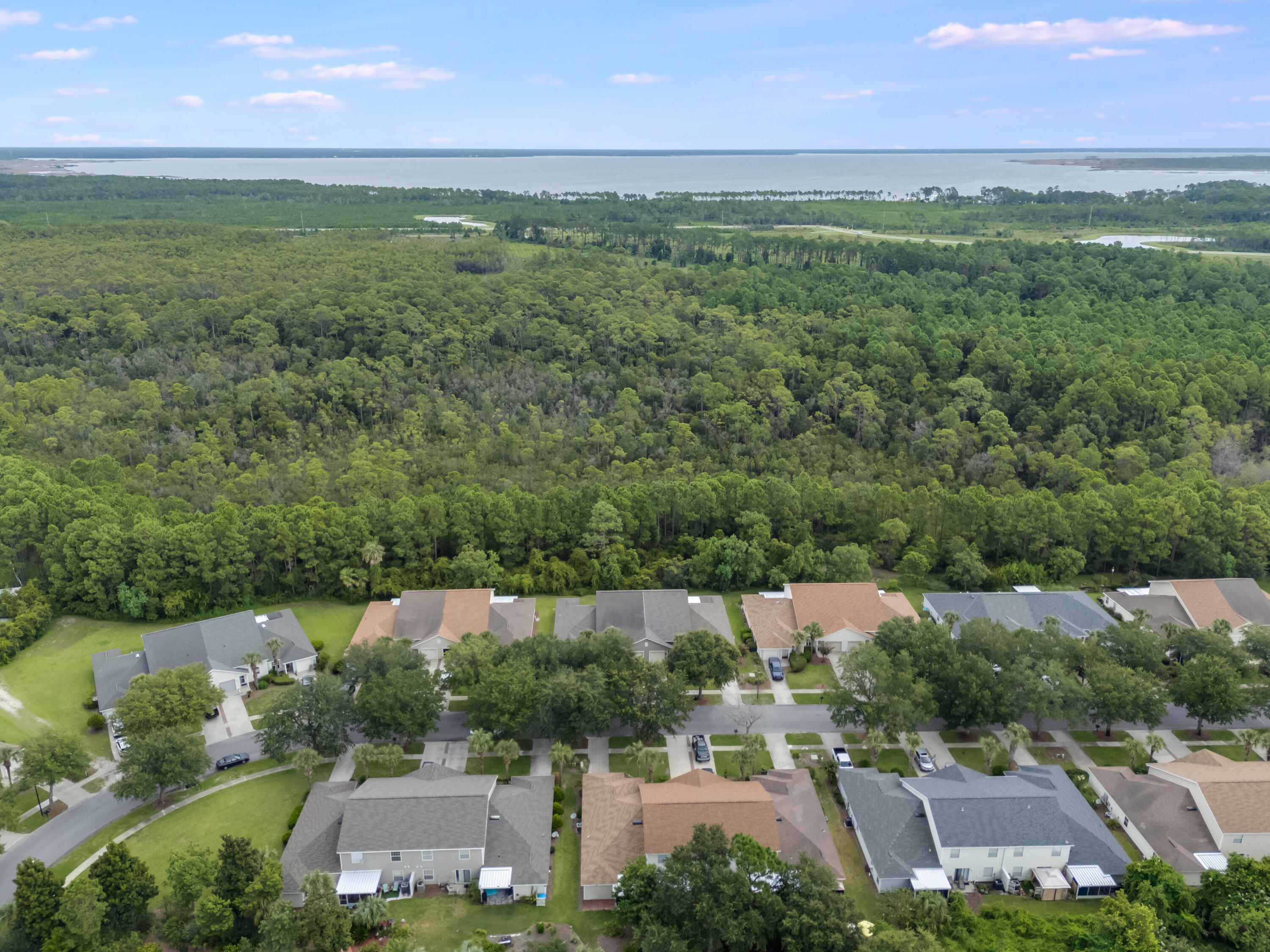 Palmetto Trace Phase 1 - Residential