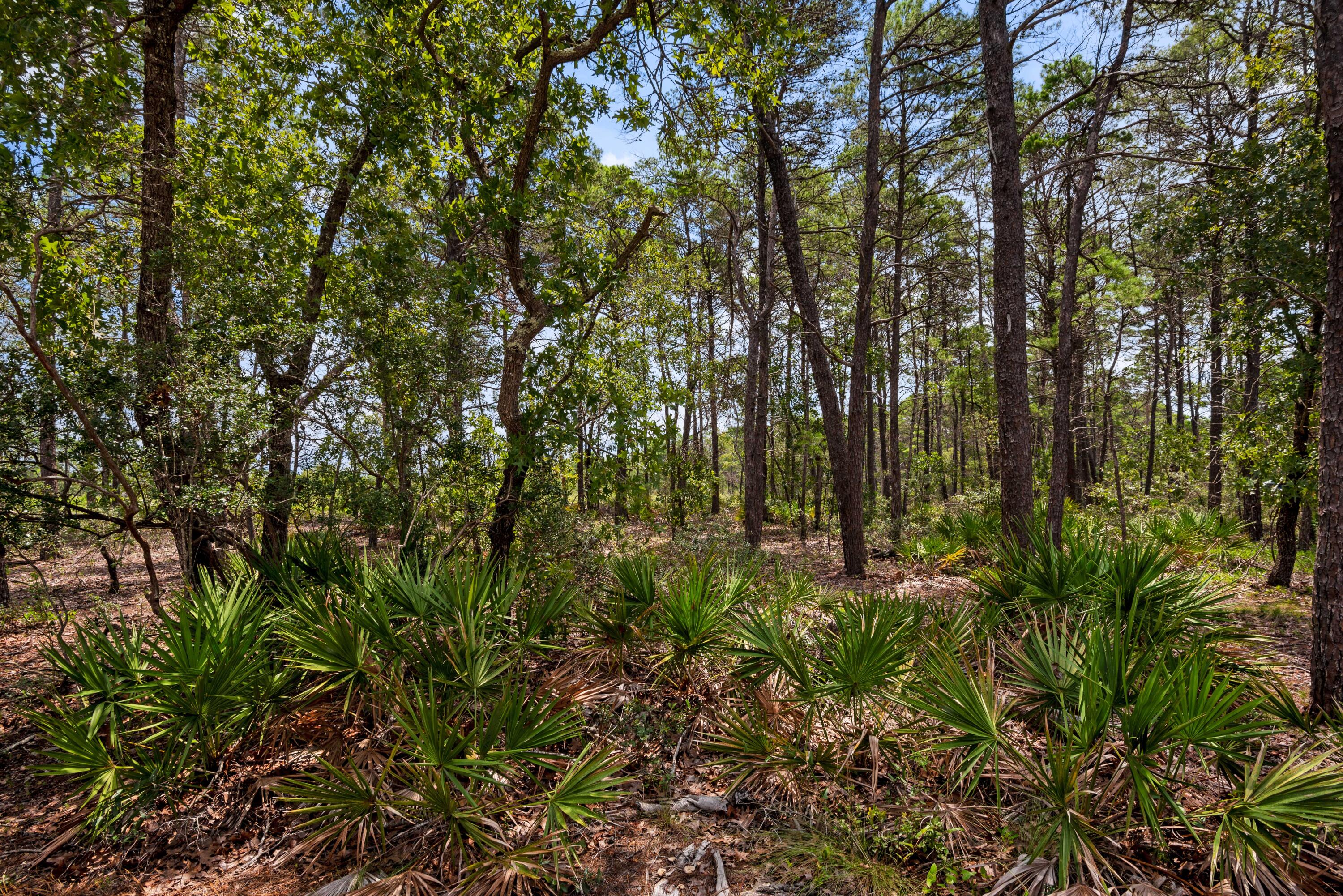 PROMINENCE - Residential