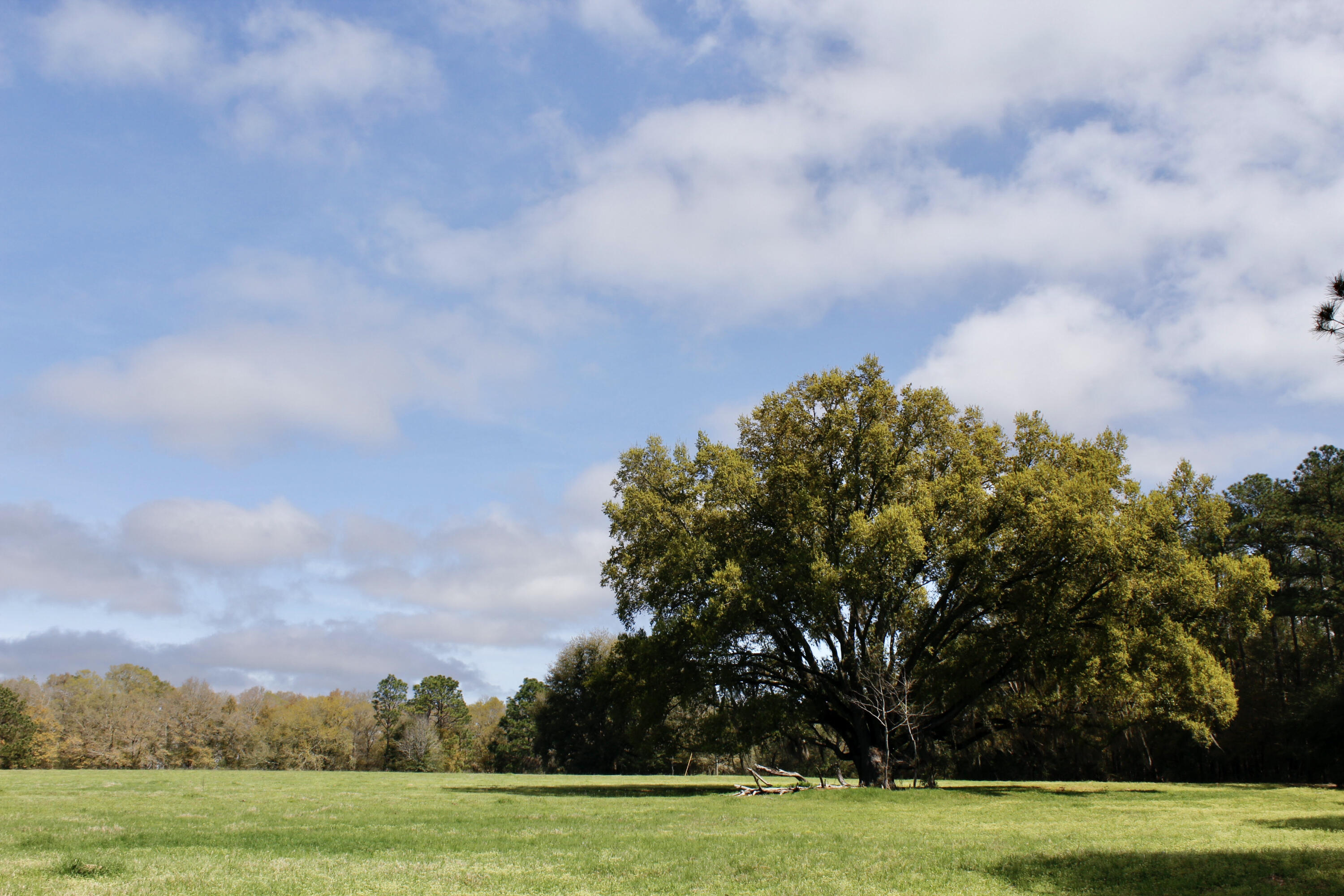 Linda Anderson Revocable Trust - Residential