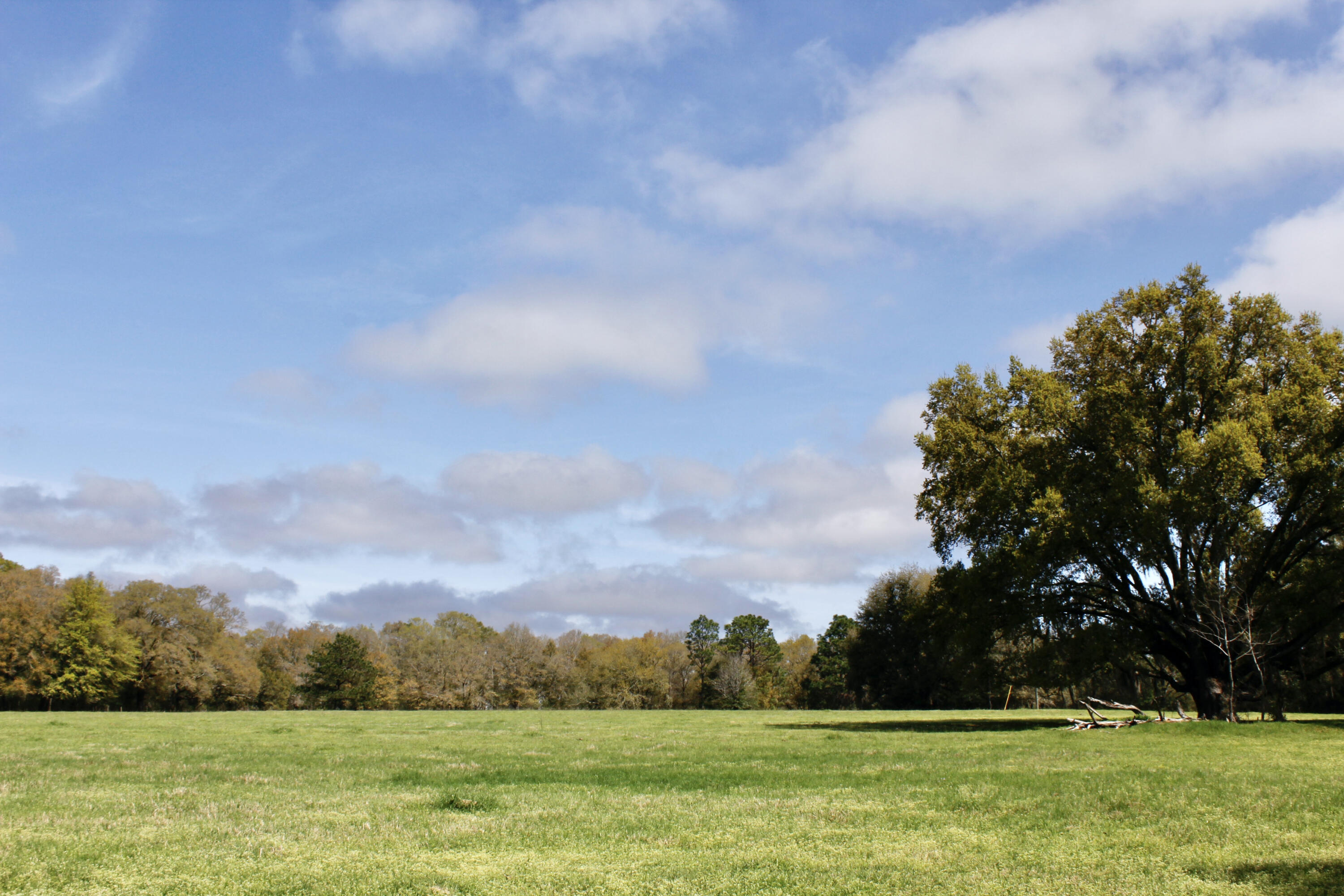 Linda Anderson Revocable Trust - Residential