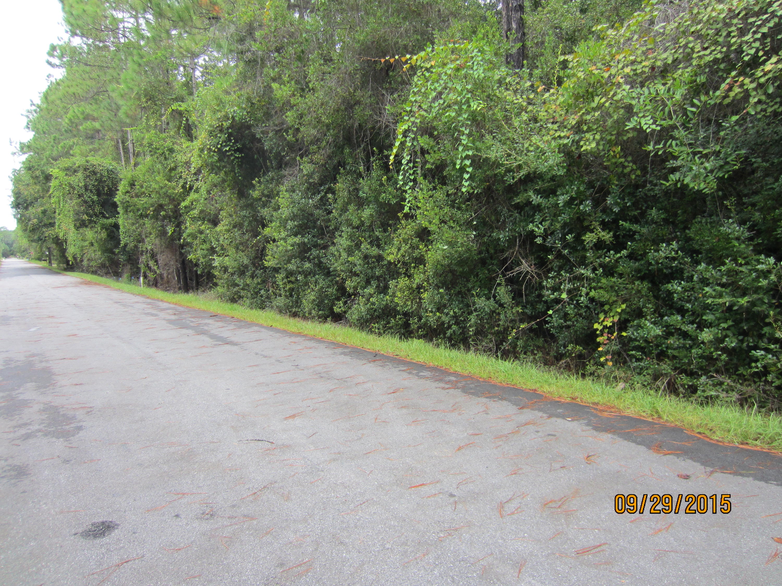 MAGNOLIA BEACH - Land