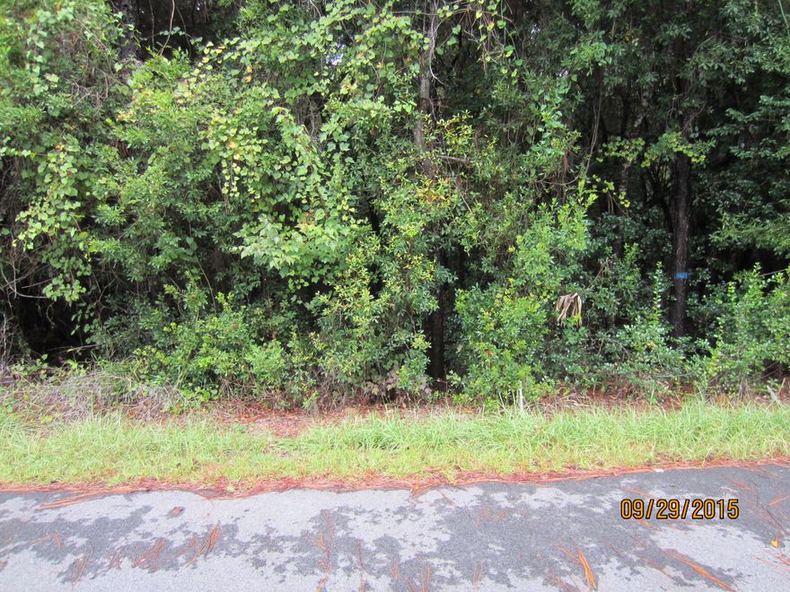 PRICE REDUCTION. Vacant lot approx. 50x150 located on a paved street and only steps from the Choctawhatchee Bay. There is a boat access at the North end of Cabbage Rose Lane. Great neighborhood which is quaint and very close to the White Sand Beaches of South Walton and the popular 30A area. No association and no monthly fees. No build-out time requirement. Lot 28, which is adjacent to this lot is also available at the same price, take advantage of this price reduction now!!!