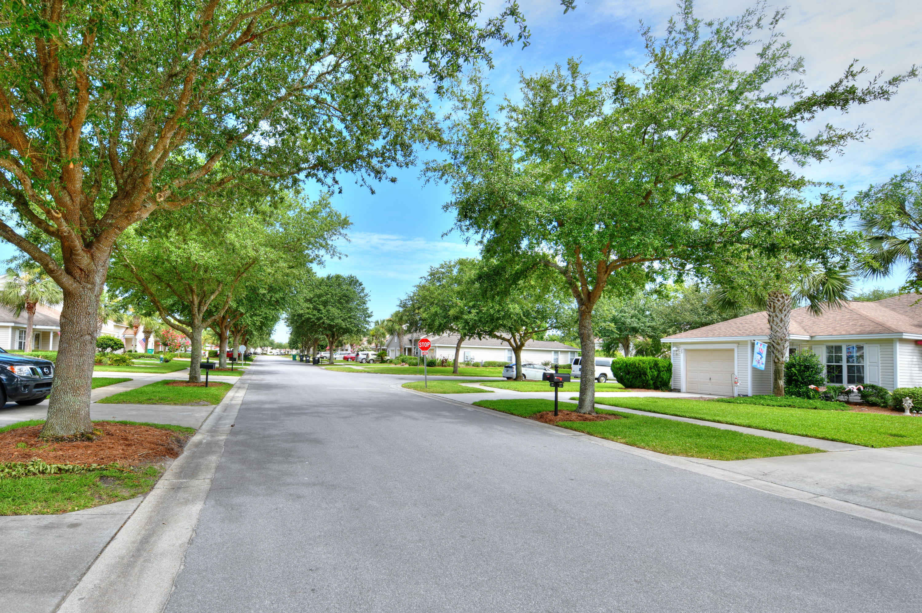 Palmetto Trace Phase 2 - Residential