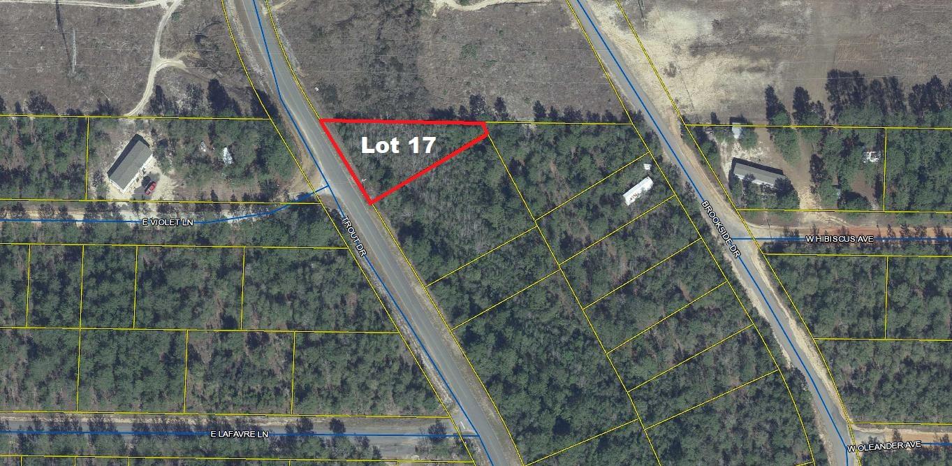 Apx. 1/3 acre ac lot on paved road. Great location in growing Mossy Head. Mobile/manufactured homes allowed. Public water is available through Mossy Head Water Works (tap fee not paid); Power available on street; Septic would be required.