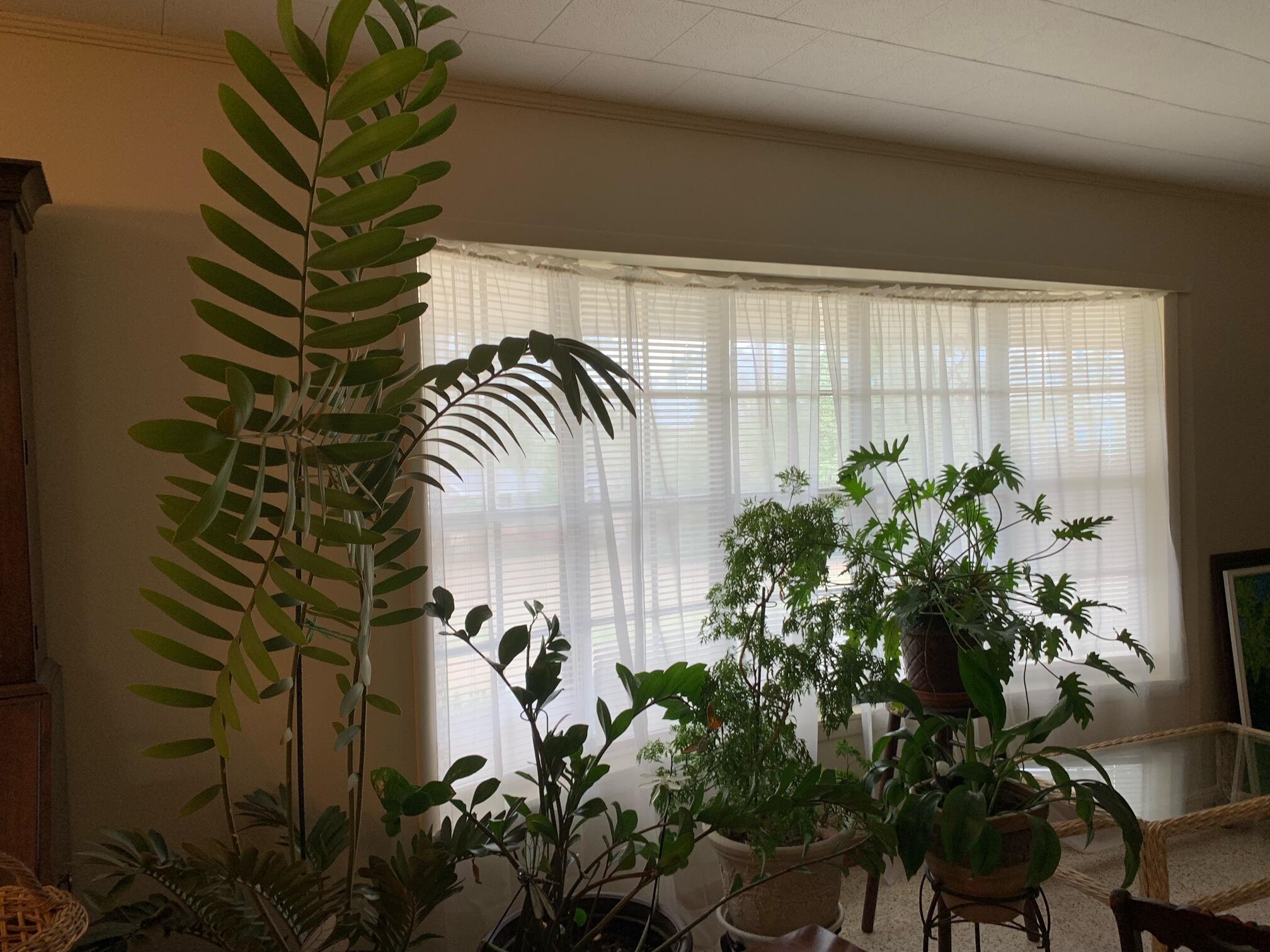 JACK KENNEDY - Residential