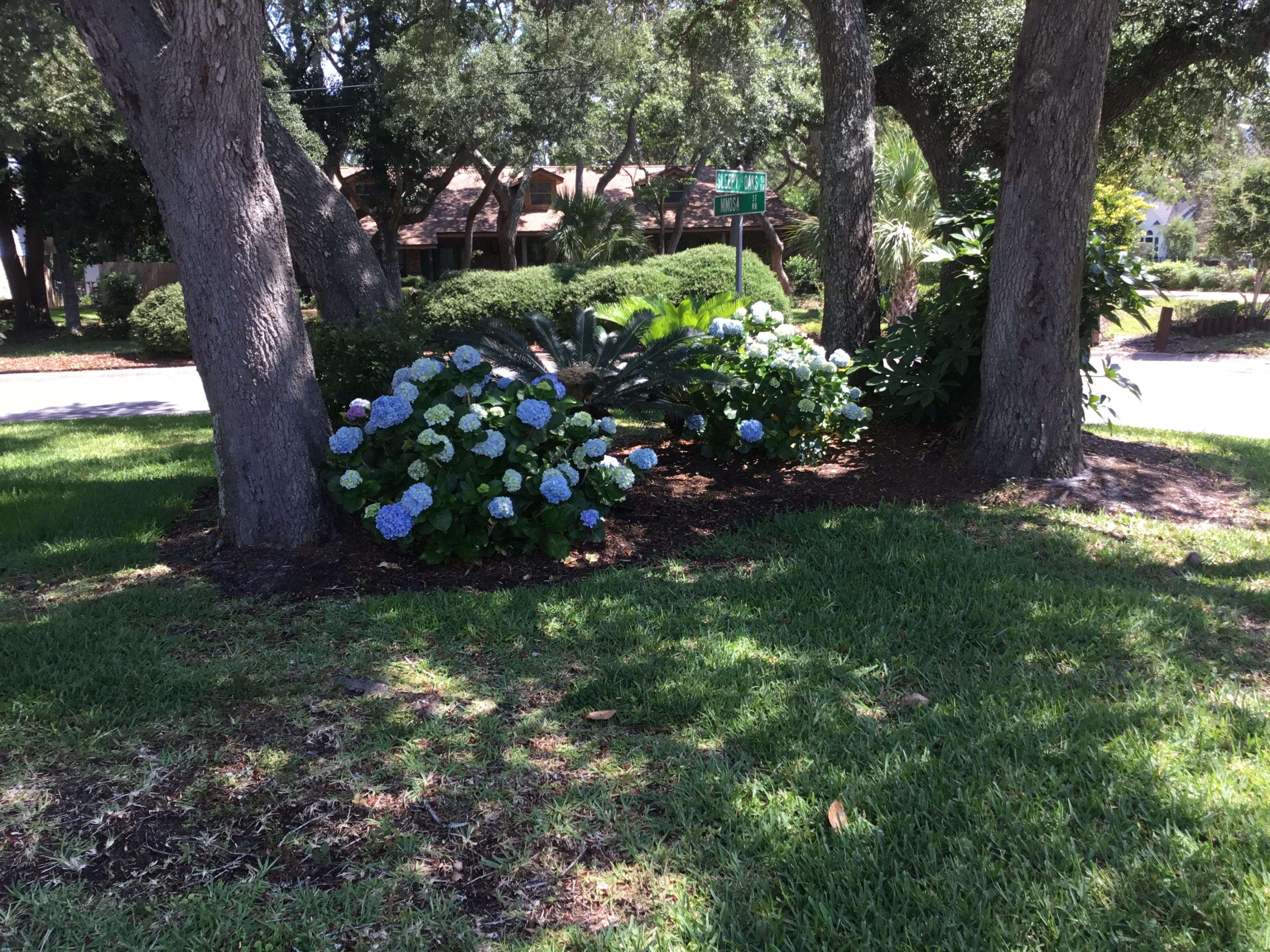 BAYOU WOODS - Residential