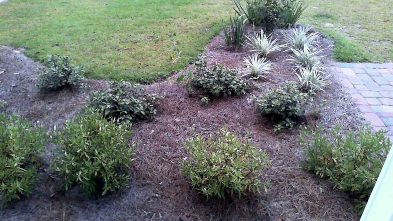 TRANQUILITY BY THE BAY - Residential