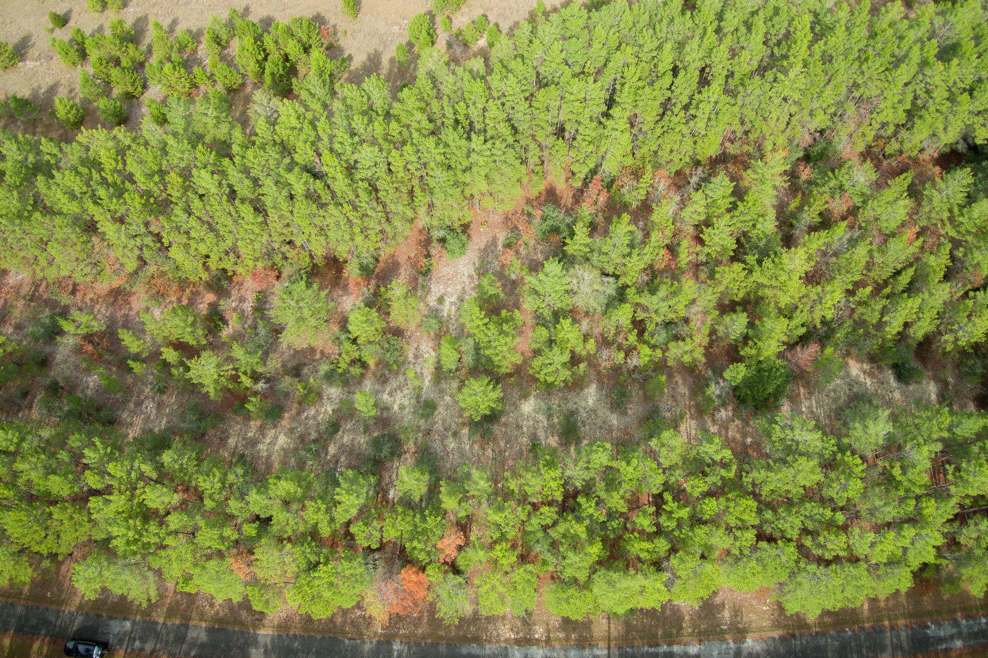 RED BAY GOLF CLUB PH 1 - Land