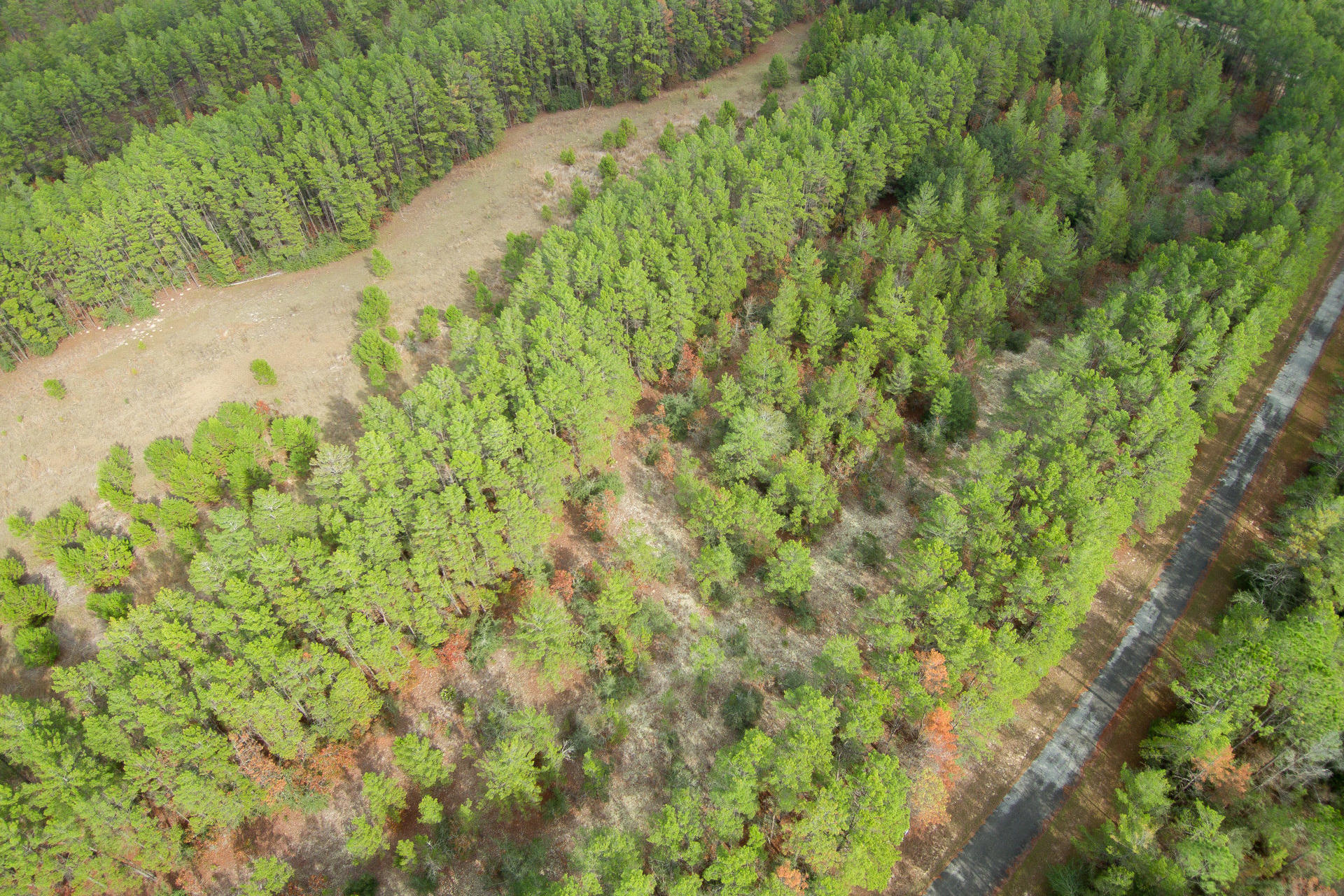 RED BAY GOLF CLUB PH 1 - Land