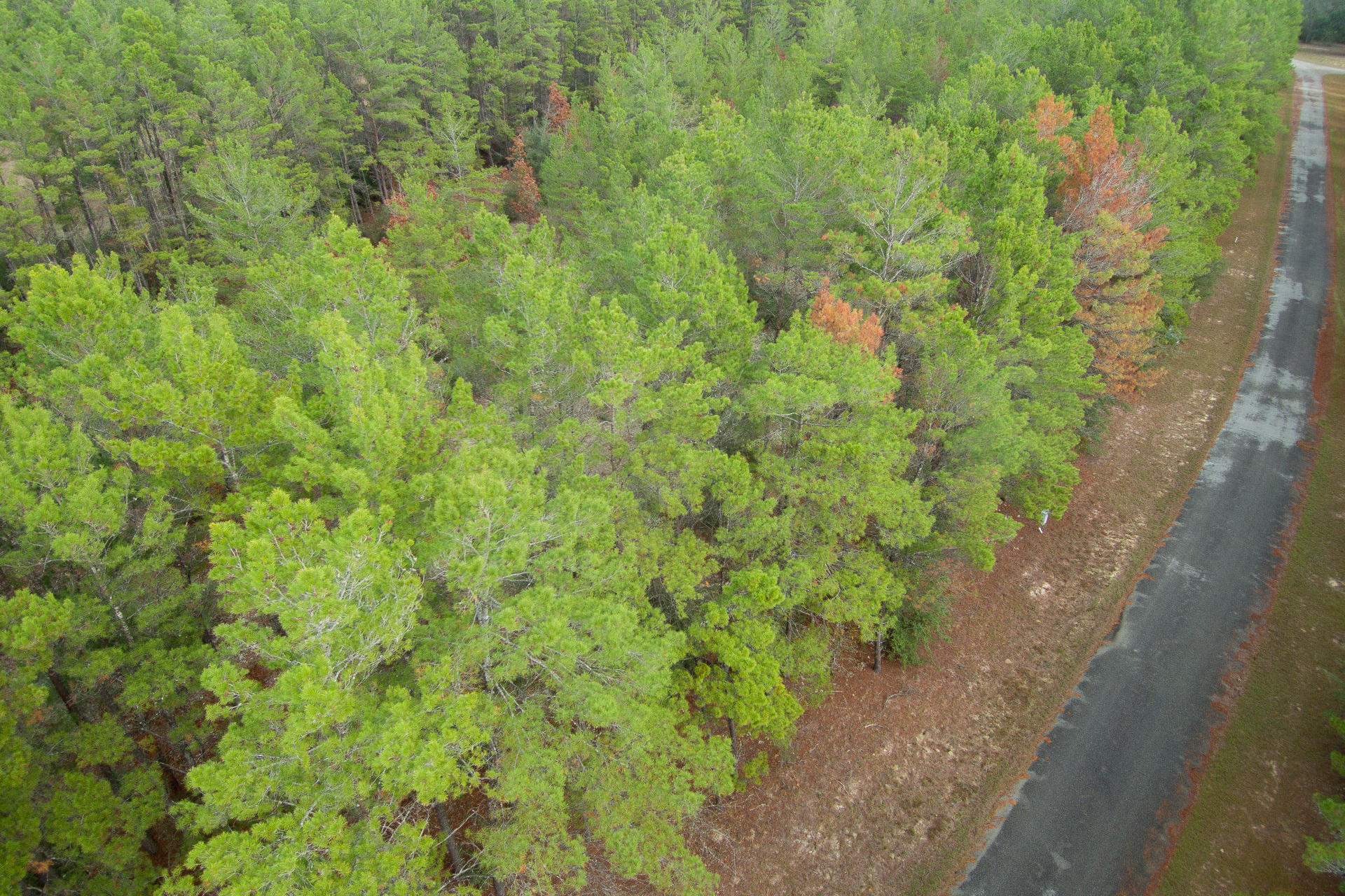 RED BAY GOLF CLUB PH 1 - Land