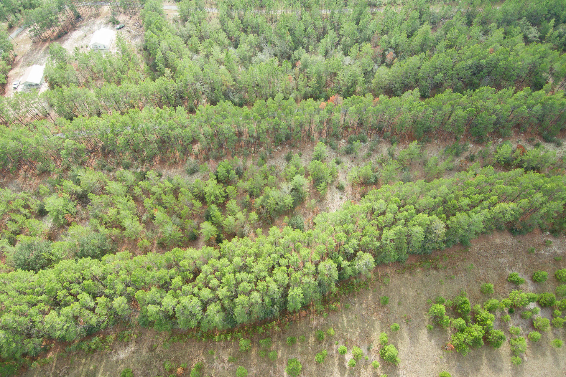 RED BAY GOLF CLUB PH 1 - Land