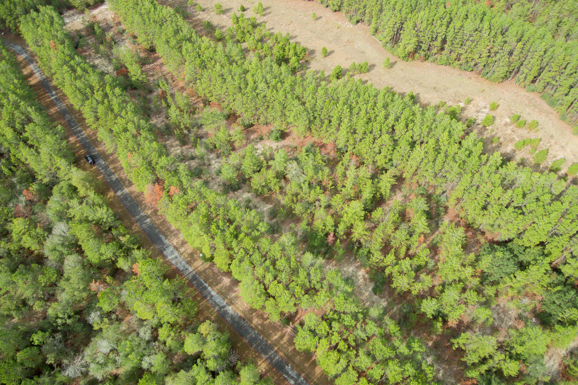 RED BAY GOLF CLUB PH 1 - Land