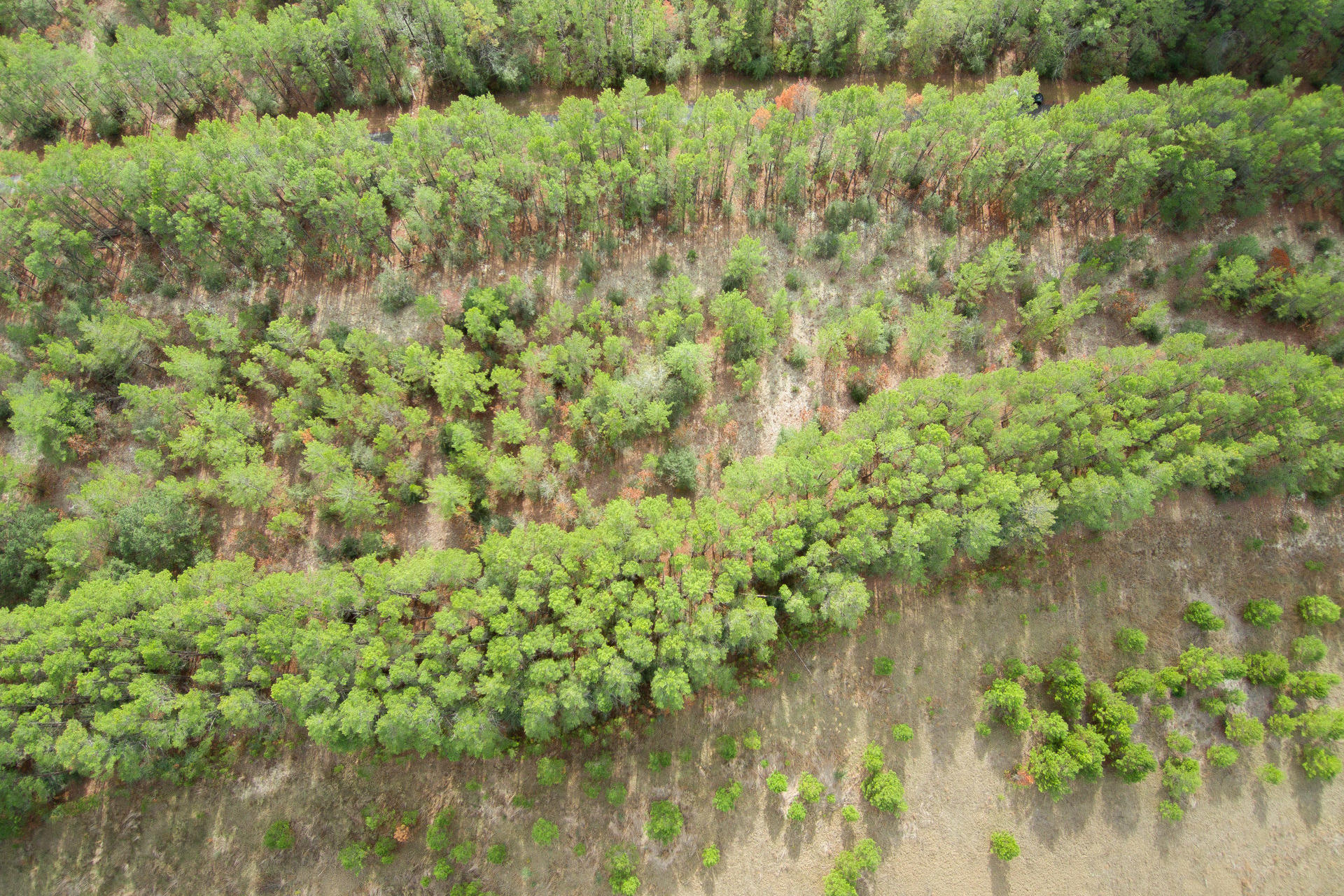 RED BAY GOLF CLUB PH 1 - Land