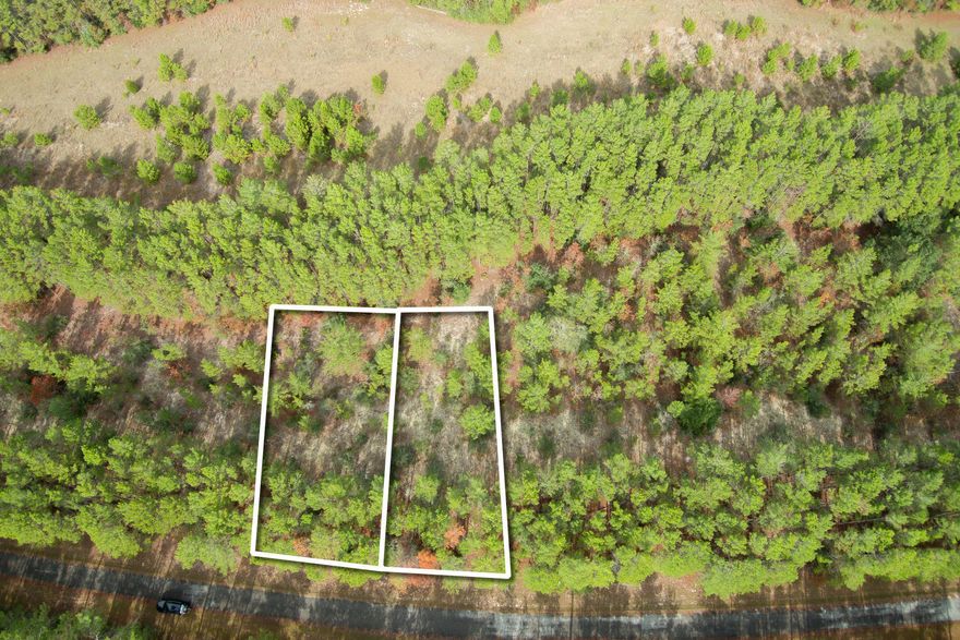 Quiet Location!Two lots equaling 1/2 acre lot on Golf Club Drive located near Sandy Pines Golf Course (aka for those old locals Red Bay Golf Course) could be your retirement spot or a future home for your family. Less than 100 lots in its entirety, this subdivision only has a few homes built, it still feels quiet and appeals to those who want small neighborhood. Location a few miles to several springs and rivers for outdoor fun.No mobile homes allowed from original restrictions.