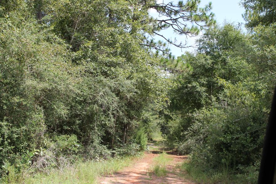 7.57 Acres in Northeast Crestview. Close to town, but a piece of the country!! Great level home site ready to build your dream home. Located near Crestview and 40 minutes from all the local bases( Eglin, Duke, Hurlburt, 7th Special Forces). You will have the country get away without needing to sacrifice your commute to all your needs such as shopping, beaches, church's and work. ''Caution Falling In Mobile home conveys ''AS IS''.