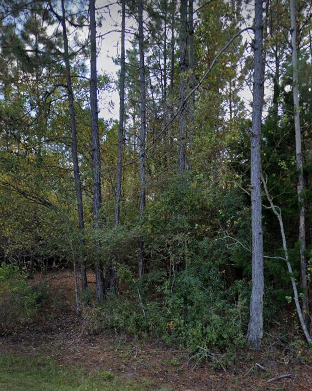 NorthDale Subdivision - Land