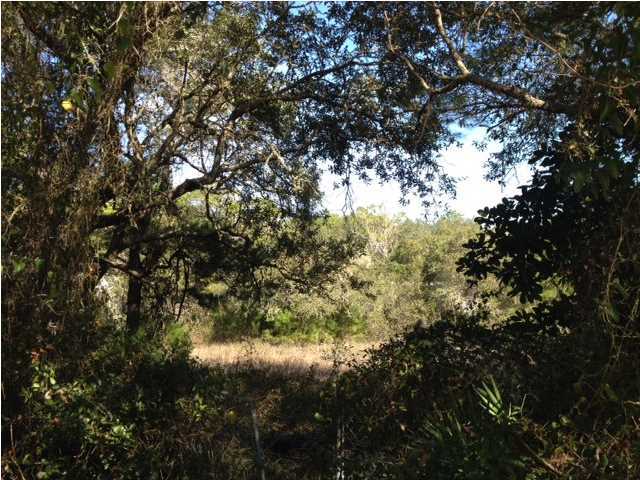 Build your beach house with both gulf & lake views! Amazing lot south of 30a in Eastern lake area capable of gulf views. Imagine the possibilities... NO HOA and NO build-out time. A house among the windswept oaks and magnolias and less than a 5 minute stroll to the water. Deeded beach walkover to both Eastern Lake and the Gulf of Mexico down the street to the left. Conveniently accessible from 30a via Dalton or South Gulf Drive (drive south) or from Eastern Lake Road via South Dalton Drive (drive north). Lot is mostly cleared with exception to perimeter.