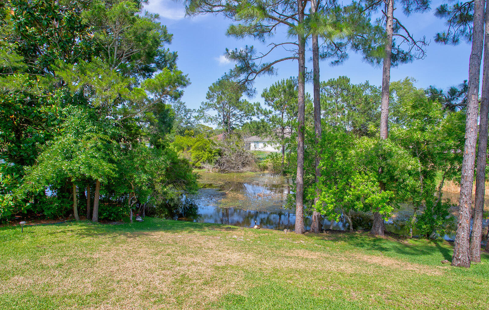 SHADOW LAKES - Residential