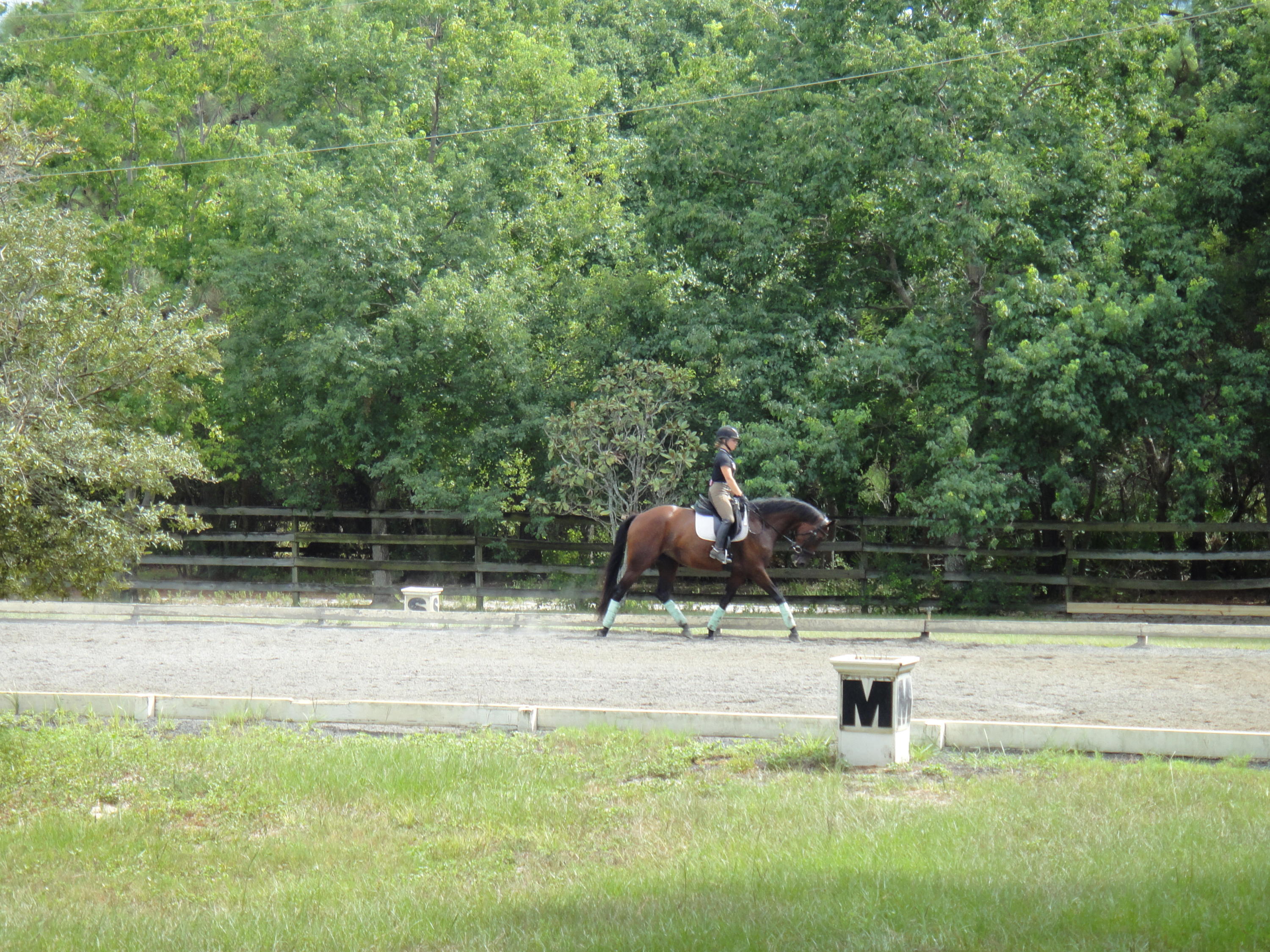 KELLY PLANTATION S/D PH 2 - Residential