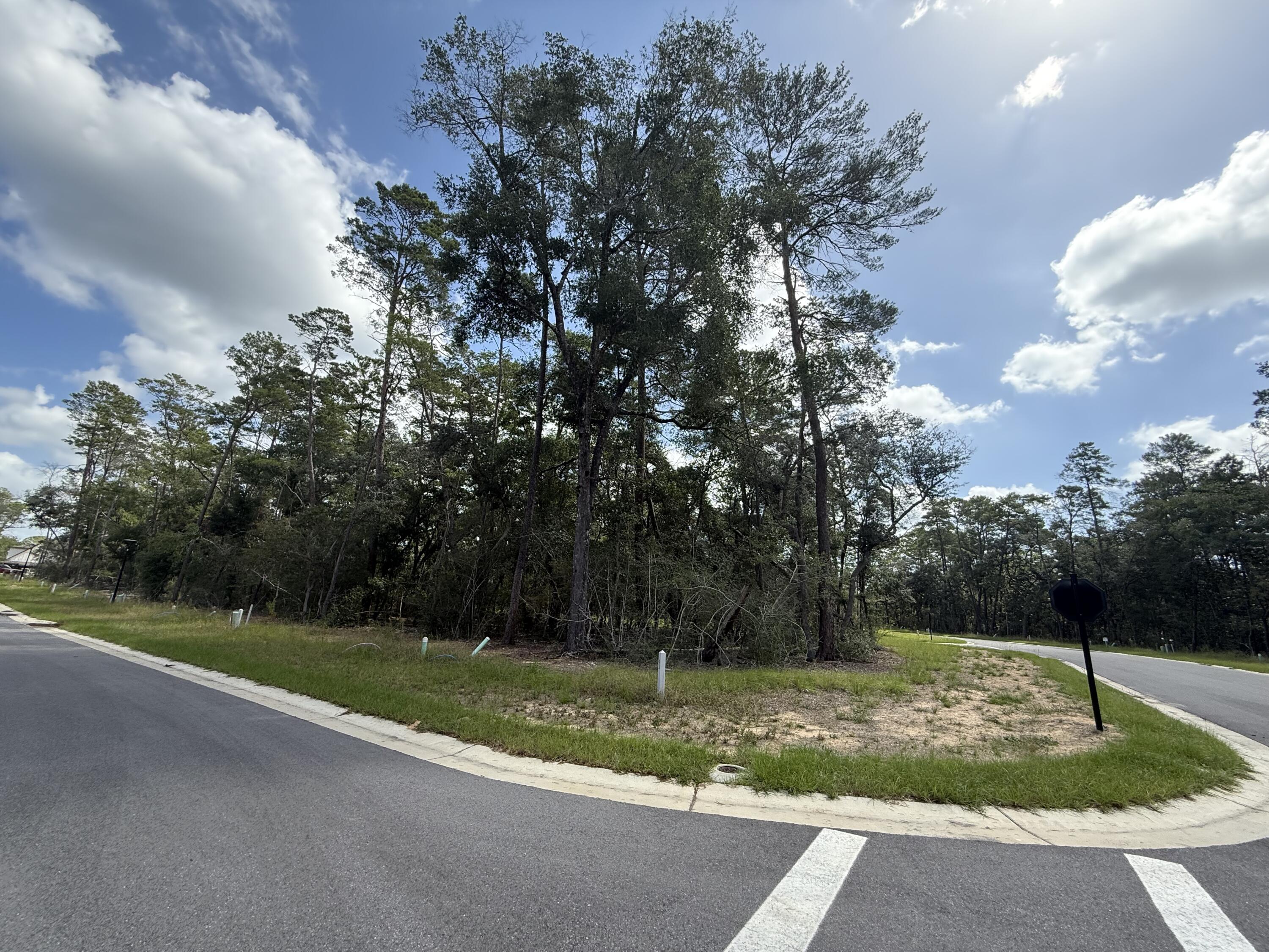 Deer Moss Creek - Land