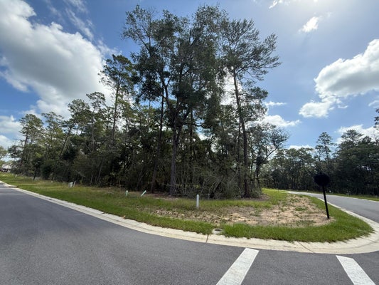 301 YARROW LN, NICEVILLE, FL 32578 - Image d0df9422cc4a55a3dcb3da6596c896e4/3483902294