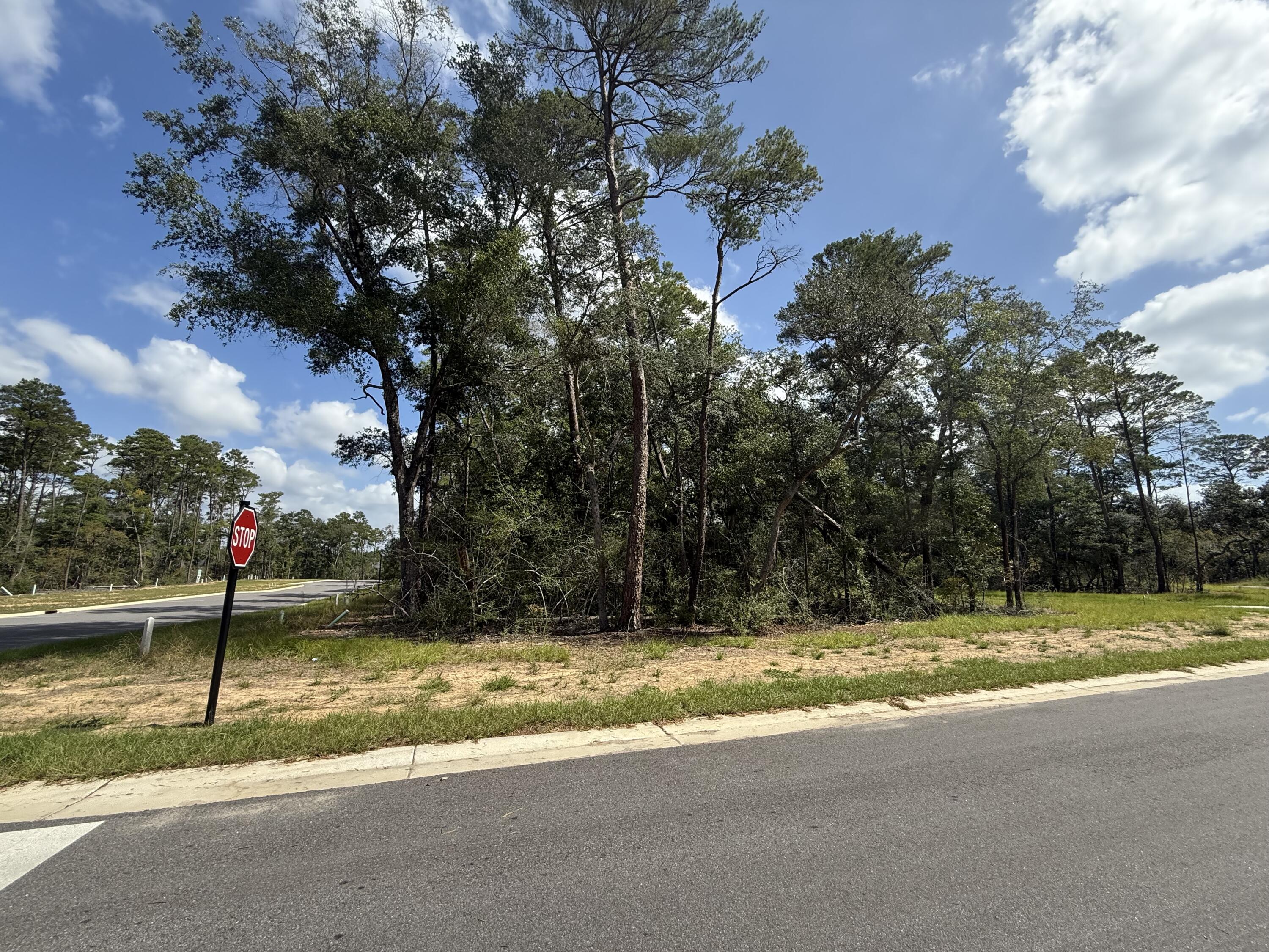 Deer Moss Creek - Land