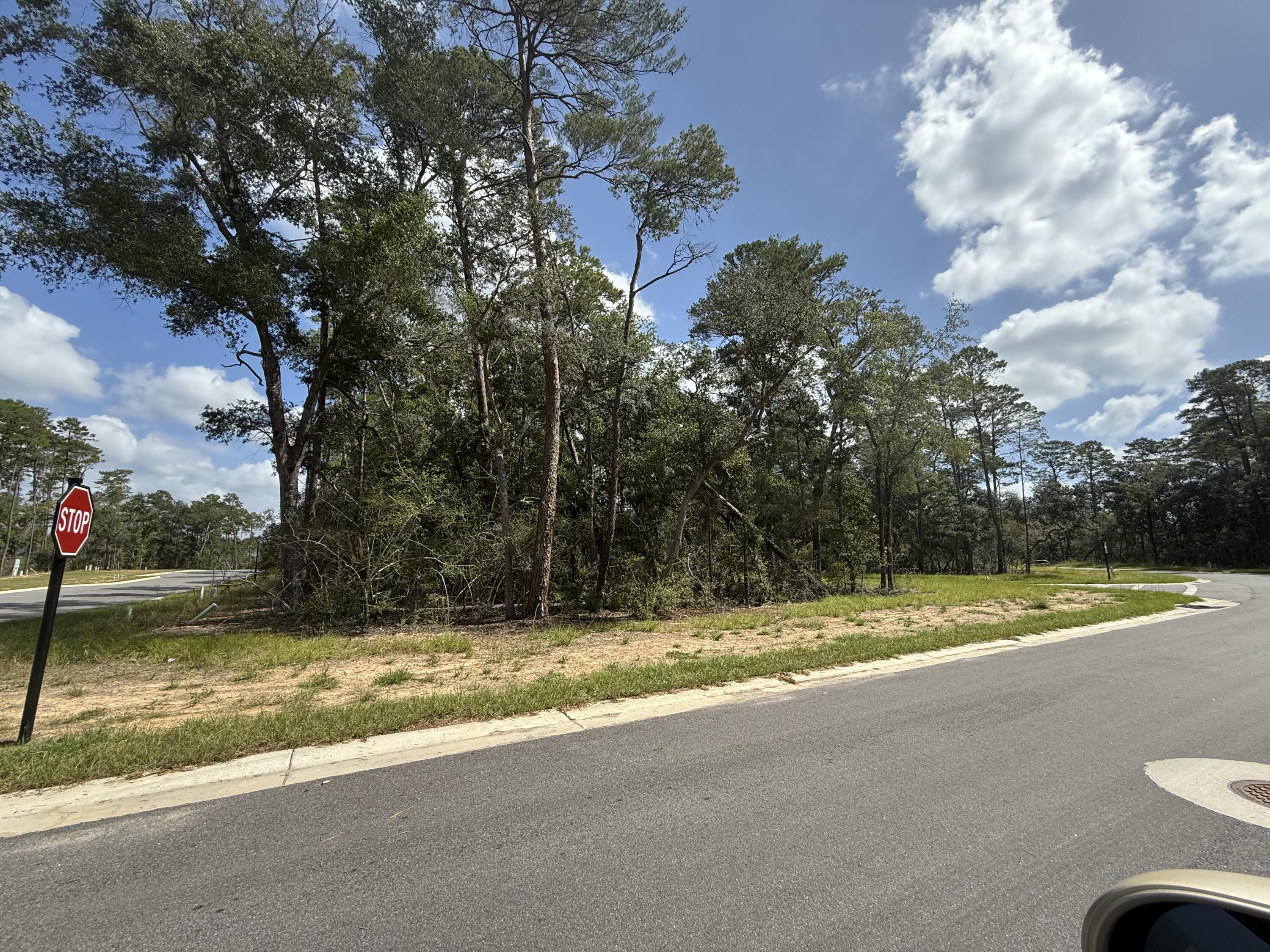 Deer Moss Creek - Land