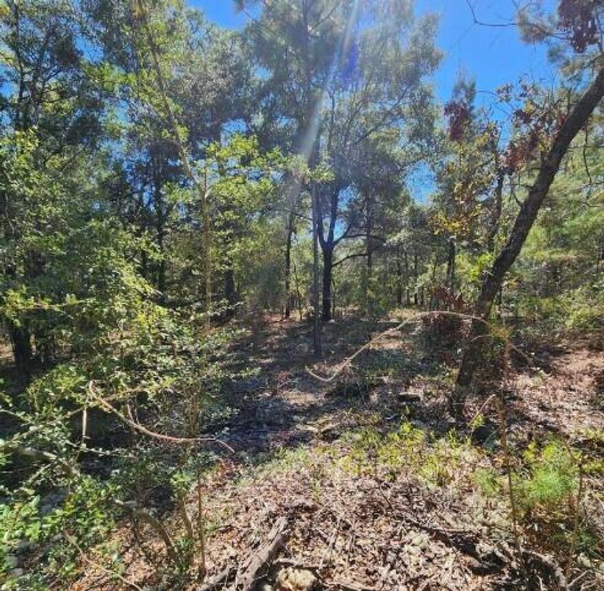 Cheapest 1/2 acre lot in the area! Not One, but Two Beautiful Lots waiting for you to build! No HOA. Minimum Restrictions. Modular Homes Allowed. Property appears to be Flood Zone X and shows no wetlands per the Walton Co. GIS Mapping. High and Dry.  There are no existing utilities. Well/Power/Septic required. Easy access to the I-10 & CR 285 south making it a great location for work no matter what direction you need to go! You will be approx. 30-45 mins to most workplaces Information contained within this listing is deemed to be accurate but is not guaranteed. Parcel number 15-3n-20-28070-034-0500 Legal  # Lots 50 &51 Blk34 Oakwood hills unit li pb4-1or 2417-1614 or 2901-3872 is also included together.