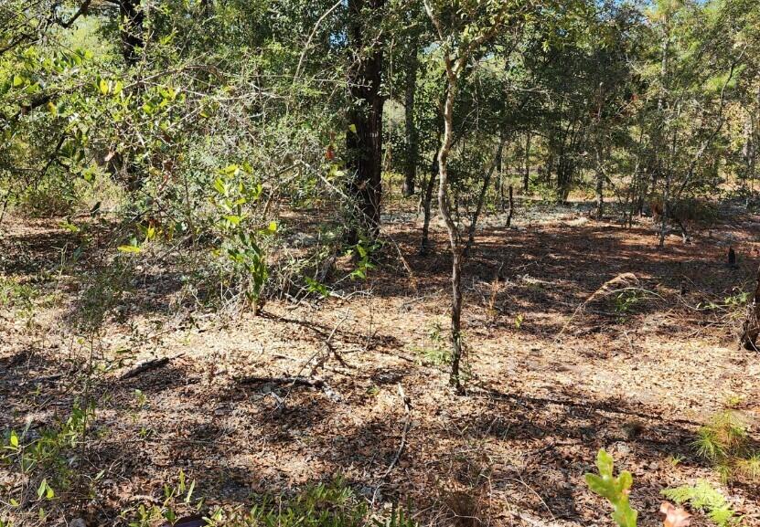 OAKWOOD HILLS UNIT 2 - Land