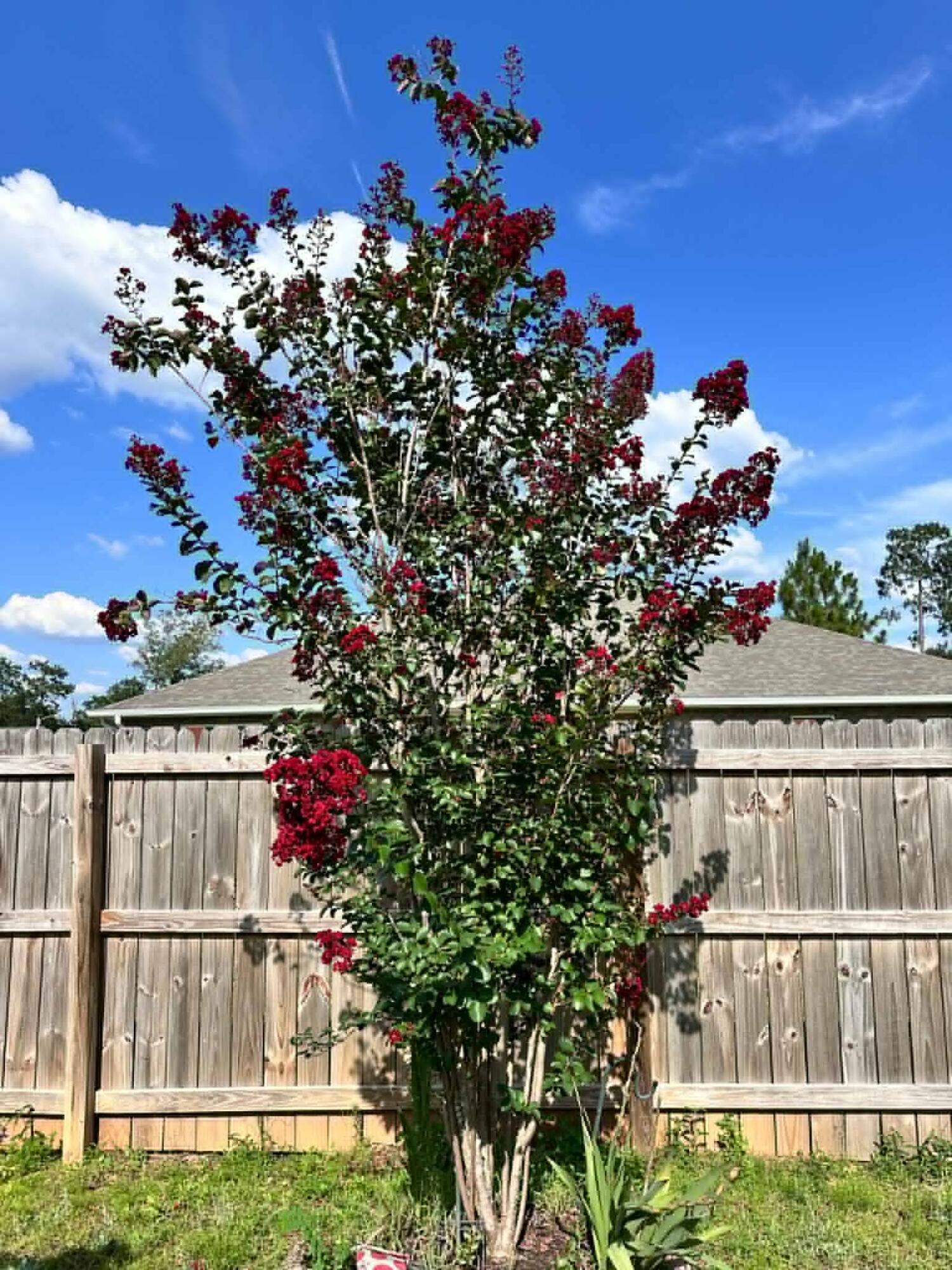 BROOKE ESTATES PH III - Residential