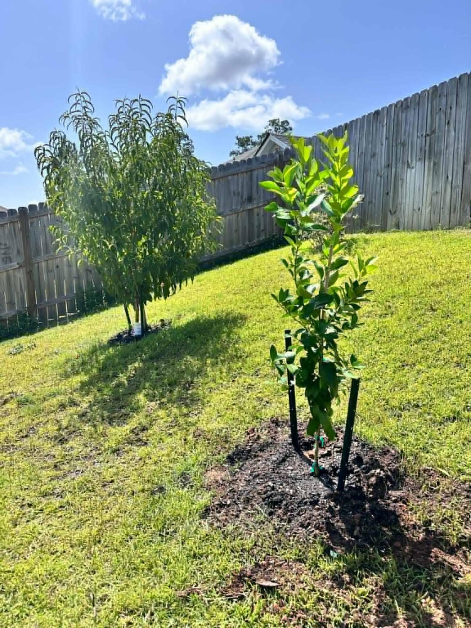 BROOKE ESTATES PH III - Residential