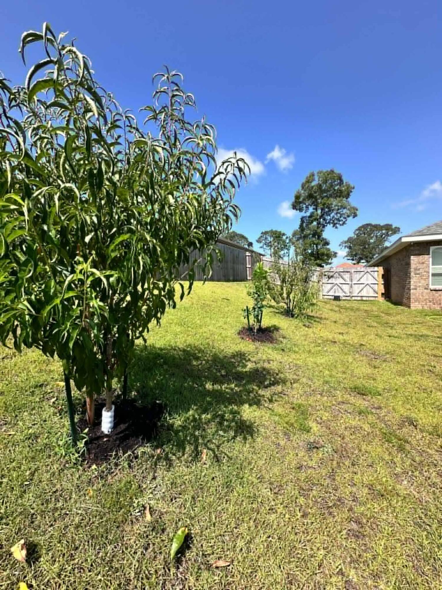 BROOKE ESTATES PH III - Residential