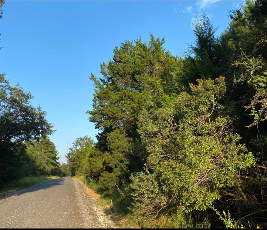 Beautiful property in North Holmes County, Florida. This property has planted pines and would be a perfect place for your dream home, hunting land or nice getaway. There are lots of wildlife, mainly deer and turkey. Will need septic, well and electricity is available on Coursey Road. The property is high and dry, flood X: 100%