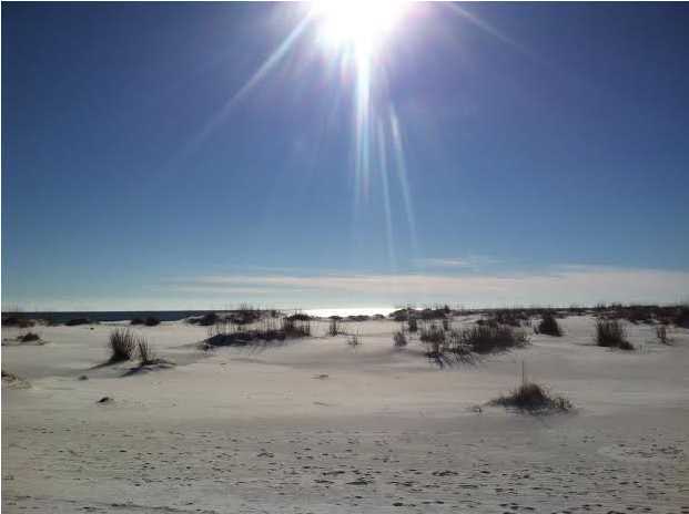 TREASURE ISLE ESTATES - Land