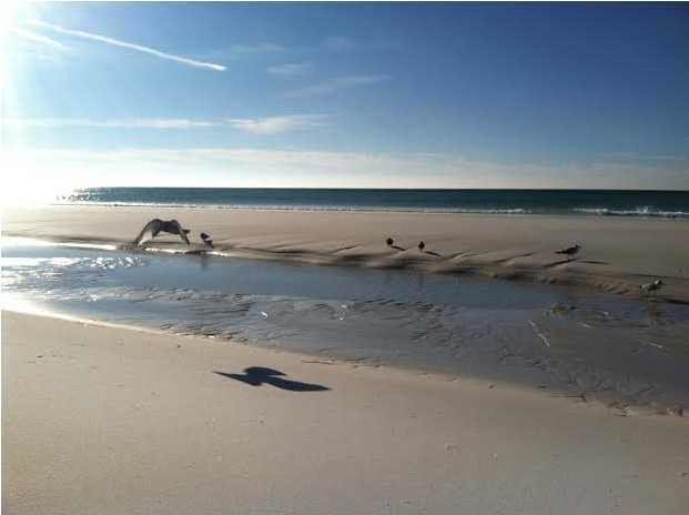 TREASURE ISLE ESTATES - Land