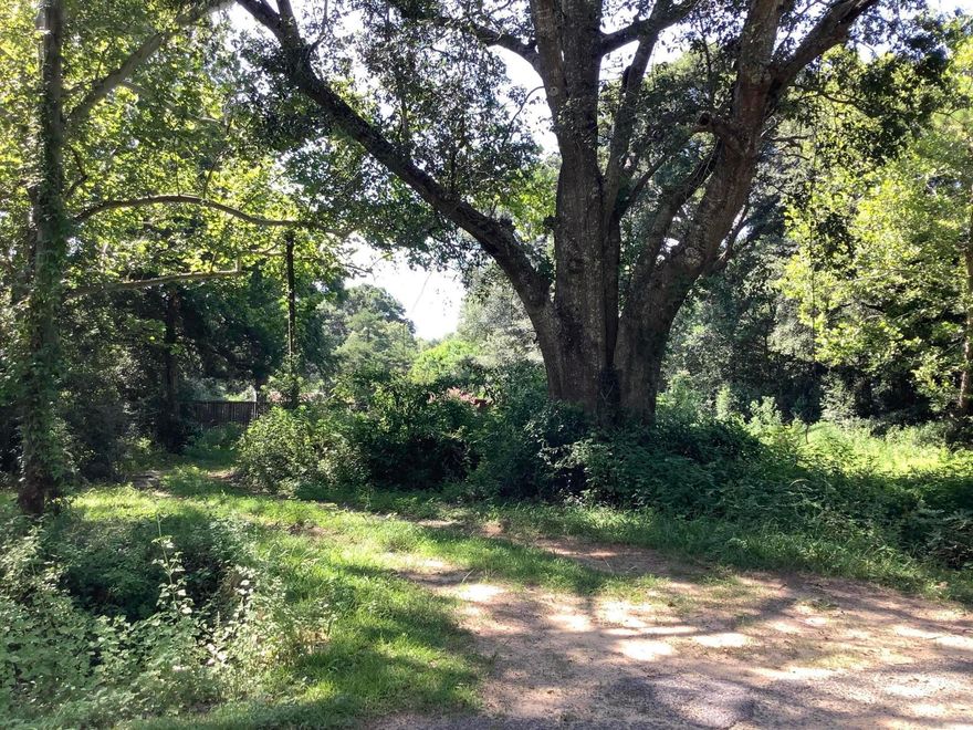 Incredible large building lot in central Crestview with mature trees on a dead end street.  Lot is partially fenced and has majestic 100 year old trees on the property to provide plenty of shade during the sunny Florida weather.  There is septic, water, and power already on property but Seller does not know current condition of these items so they will convey AS IS.  This is within the Crestview City limits so RV living is not permitted per the City.  Mobile homes are permitted with a minimum of 20' on all sides.