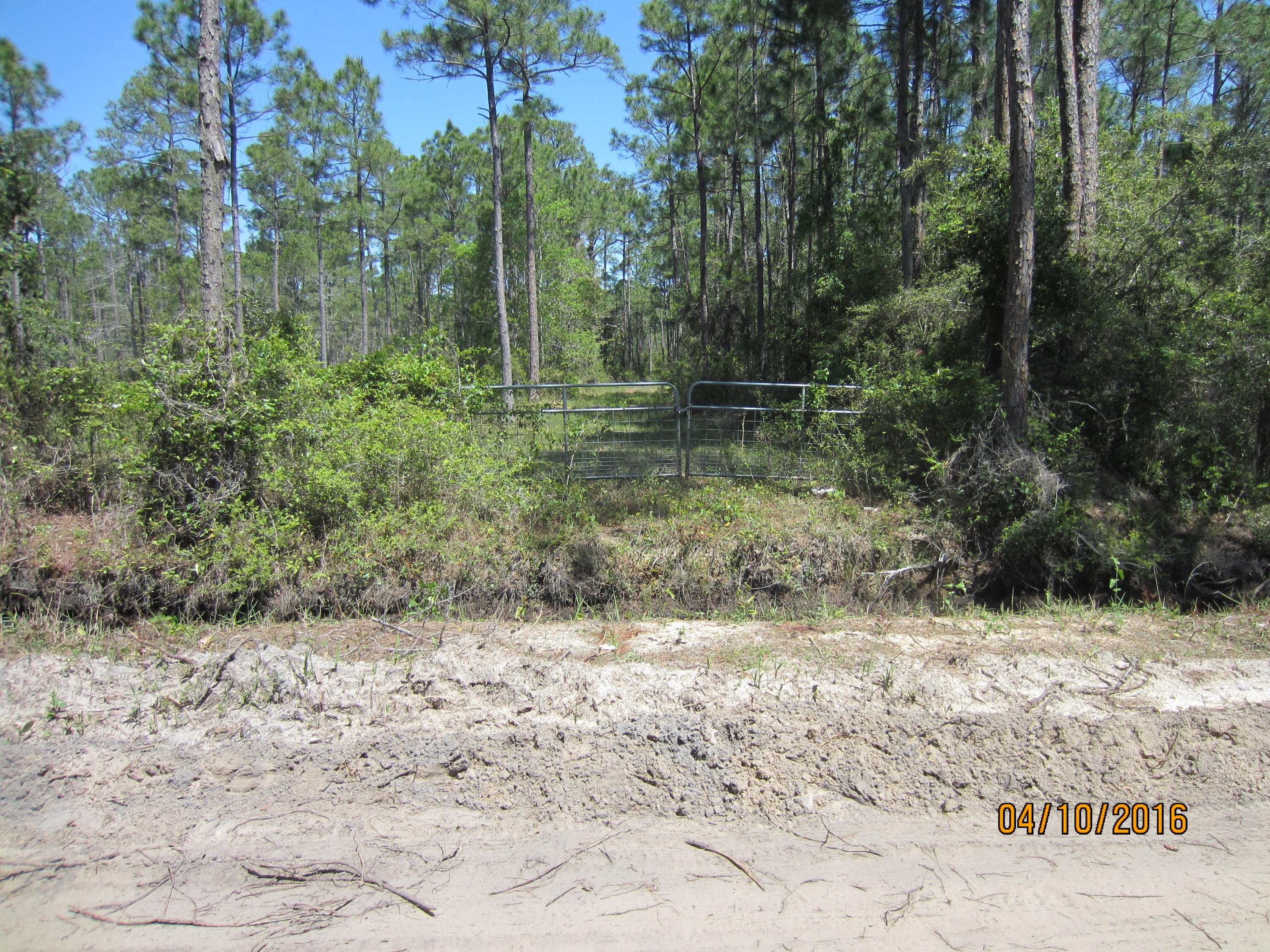 Four Acres with a building site approved by DEP and Walton County that is 120x90.There are ''wetlands'' on much of the remainder. There is a Walton County Mosquito Control Ditch on the South Side of the property. The owner has applied for a culvert permit to access the property from Gator Lane. The property is fenced on three sides and has a cattle gate on the South side for entry. Excellent homesite with no restrictions for trailers or modular housing etc. Very private and public water and sewer are available. Very nice homes in the immediate area.