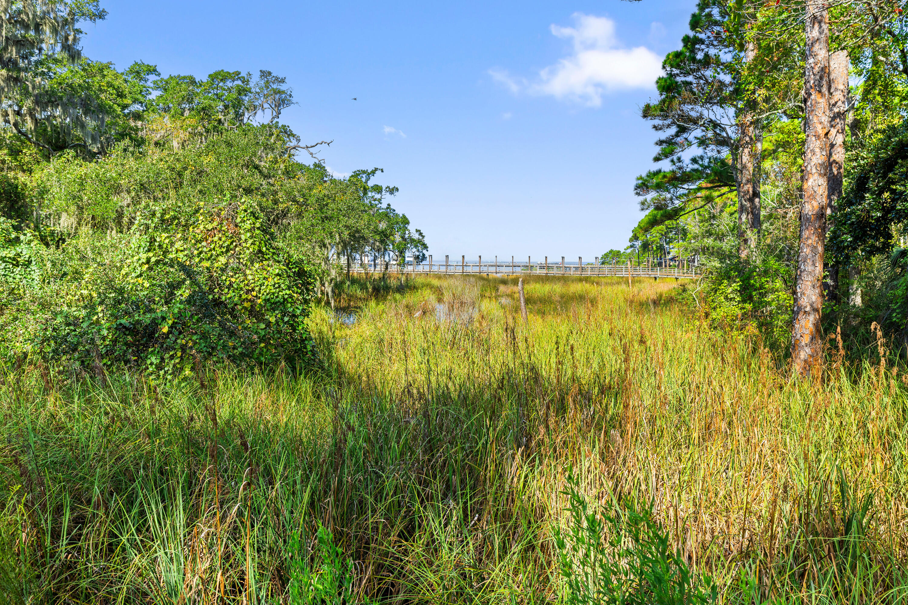 OBSERVATION POINT - Residential