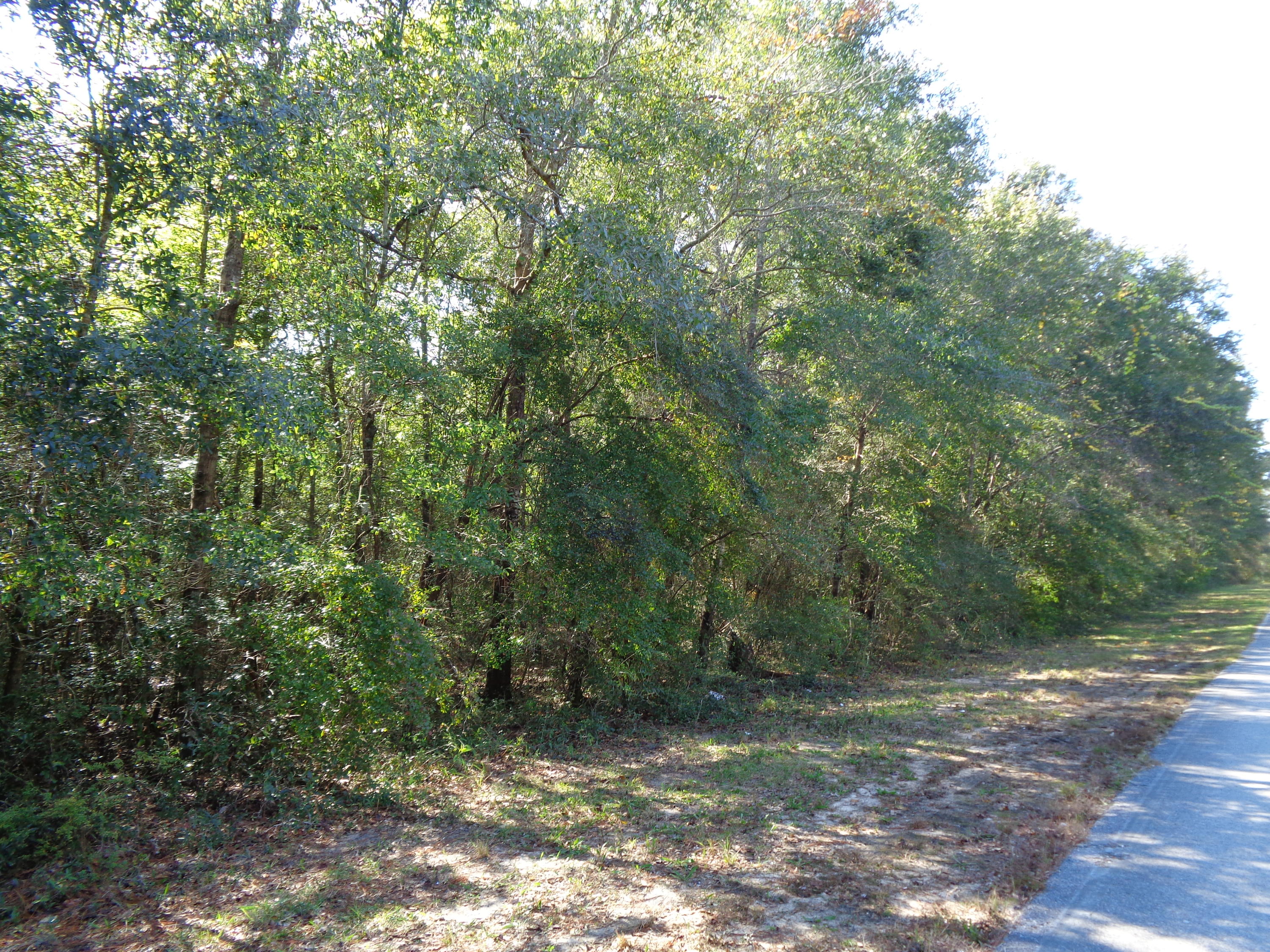 33.20 Acres located between Cat Island Rd and Squirrel Rd in the North Juniper Lake Area. Cat Island Park is less than a half mile from the property (with 1 parcel joining) that offers boat ramp and dock for Juniper Lake access. Property consists of the parcel # listed plus Lot 3 Blk 14 Juniper Lake S/D unrecd for a total of 33.20 acres. Included in the property are several lots (appears to be 4) that are part of Juniper Lake S/D Unrecorded. Property is all wooded with paved road frontage on Cat Island Rd and Squirrel Rd (2 areas). A small parcel is waterfront that joins Cat Island Park but unknown if you can build on it. Buyer should verify with the Planning Dept for uses prior to writing an offer.