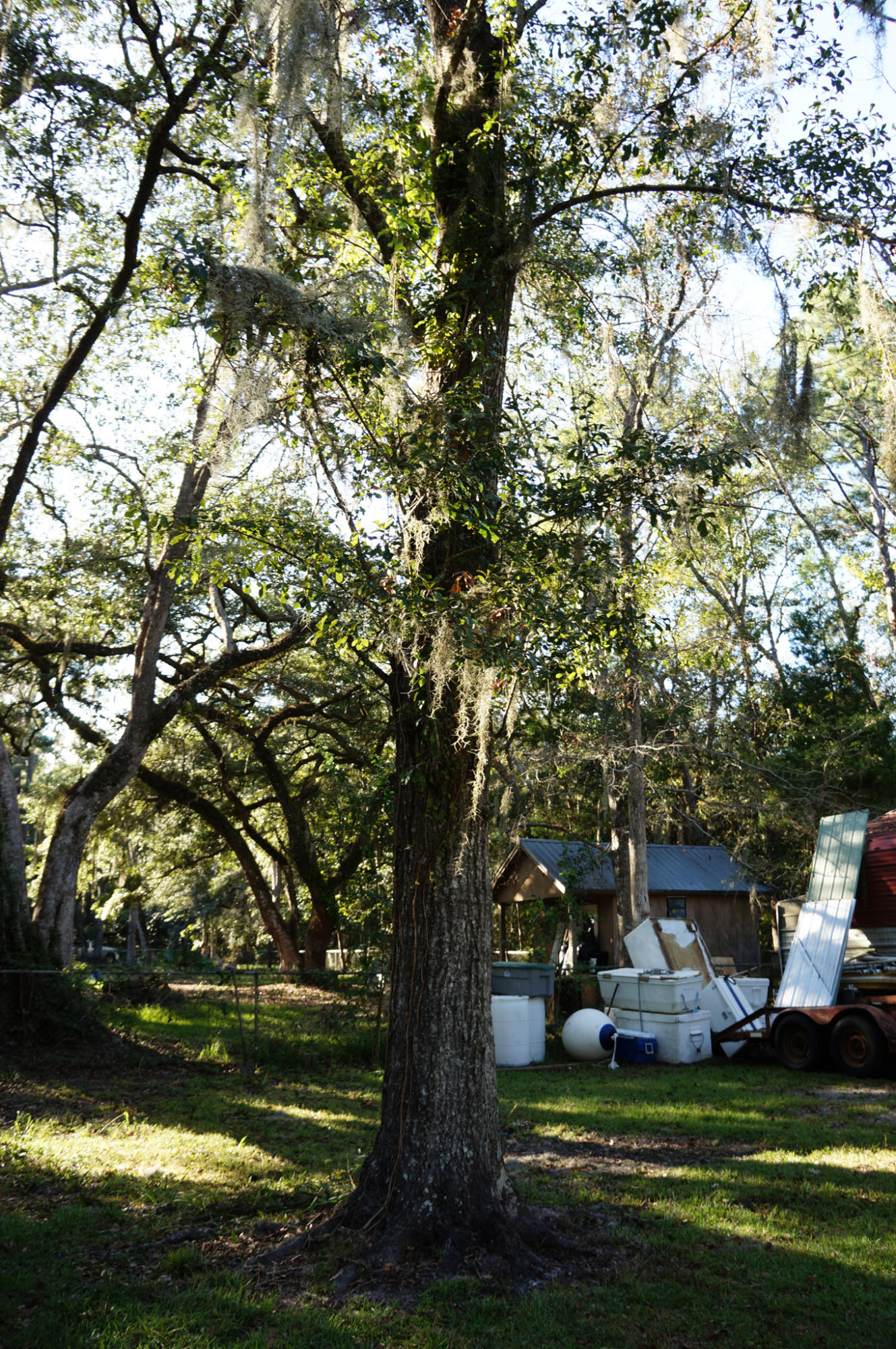 FOX DEN - Residential