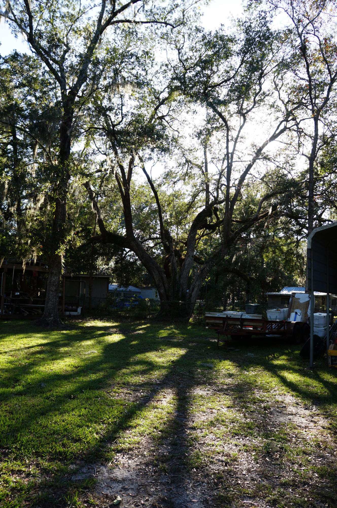 FOX DEN - Residential