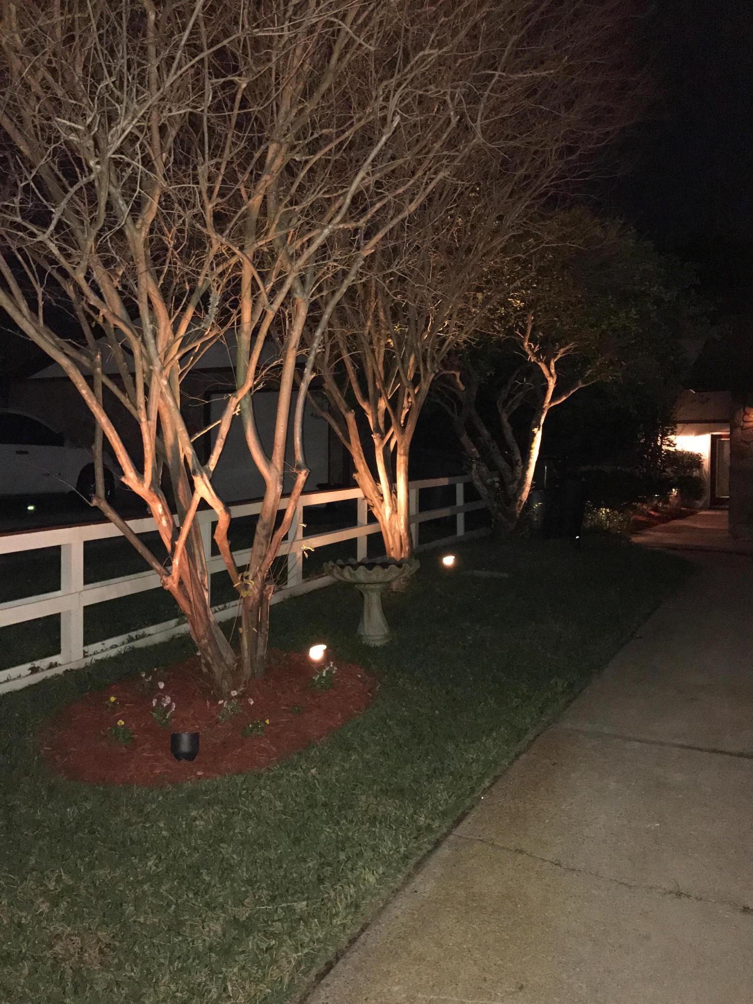 HONEYTREE - Residential