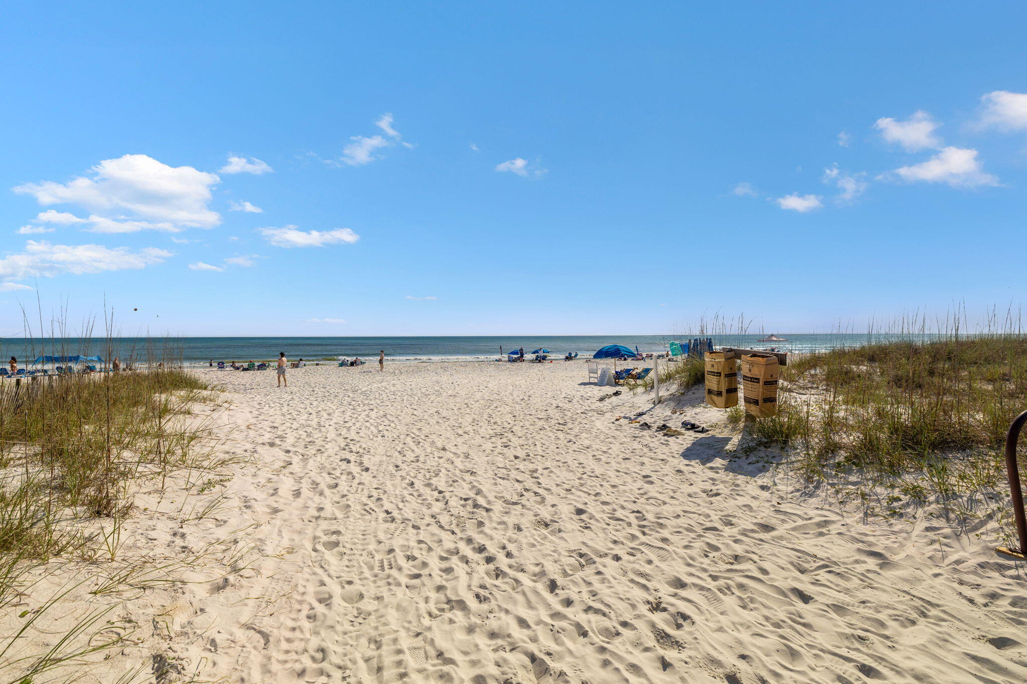Palms at Inlet Beach - Land