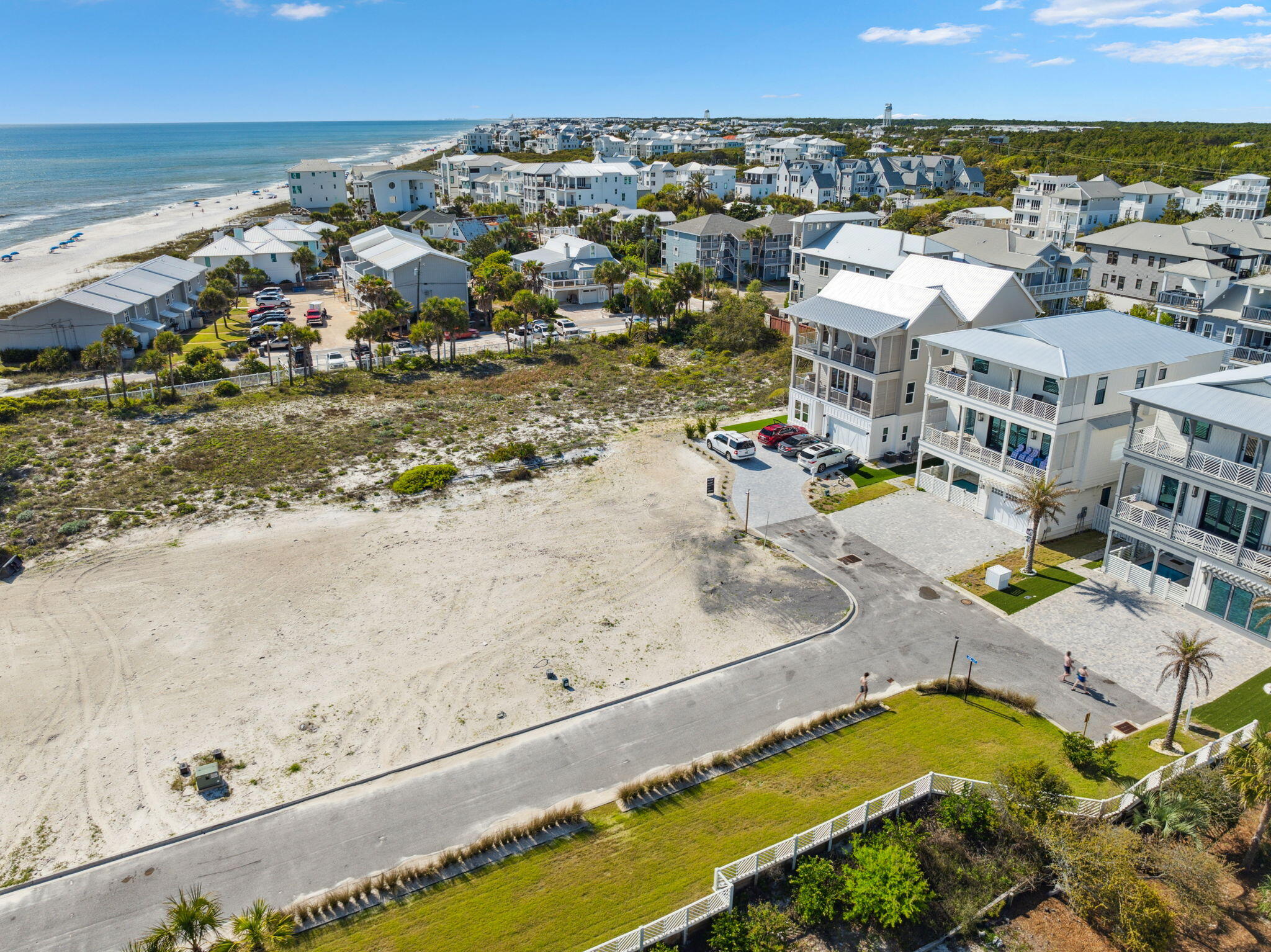 Palms at Inlet Beach - Land