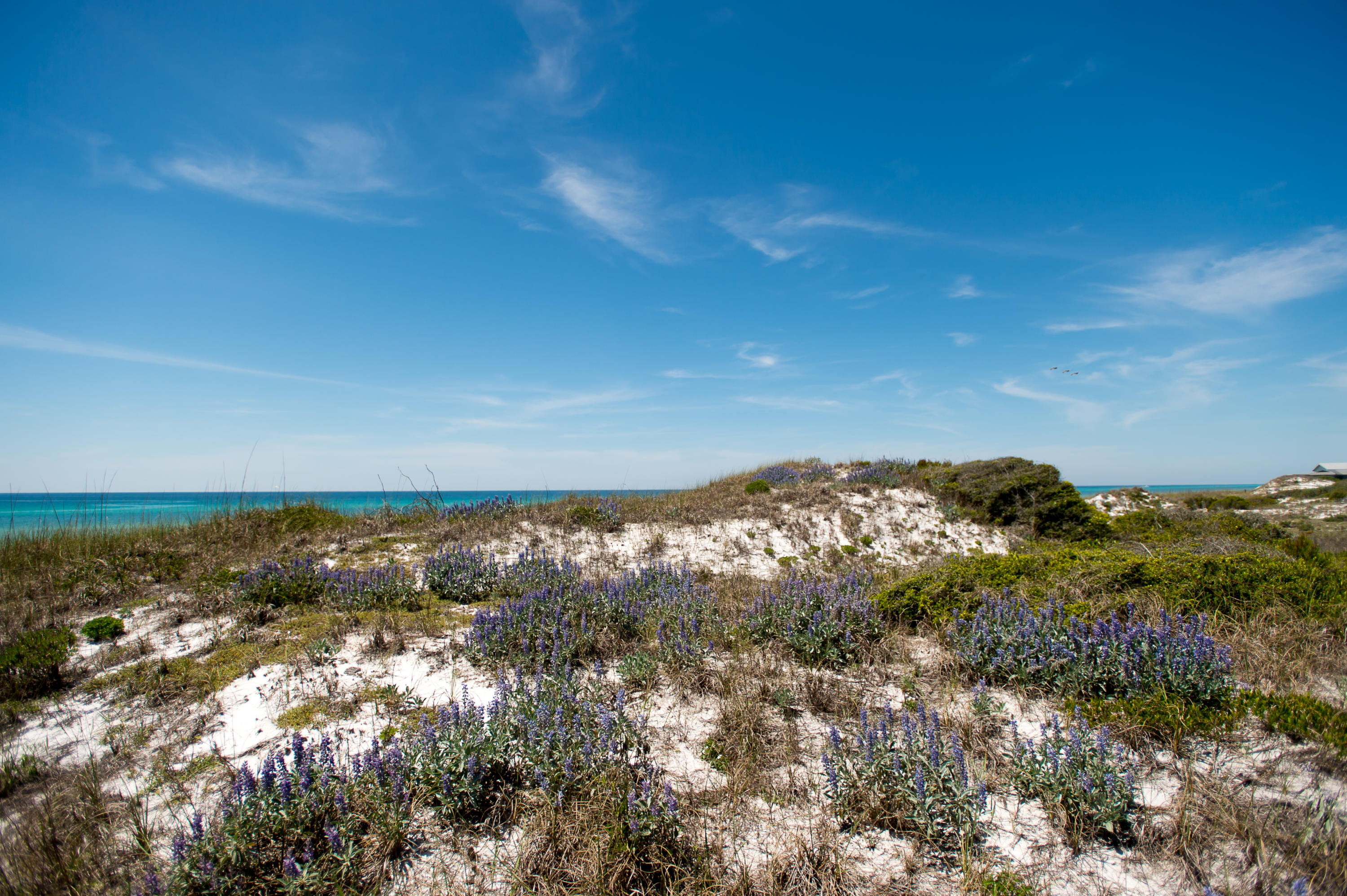 Water View - Residential