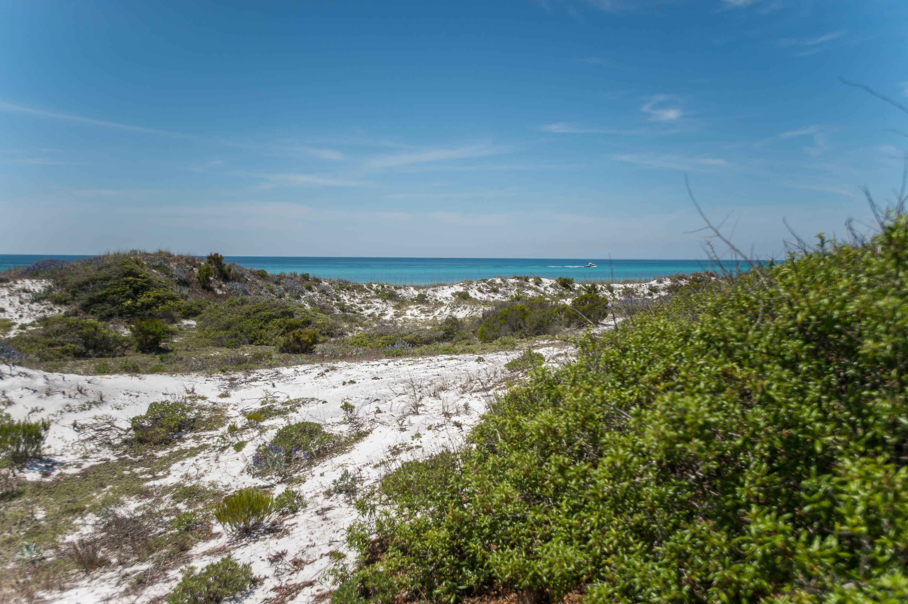 Water View - Residential