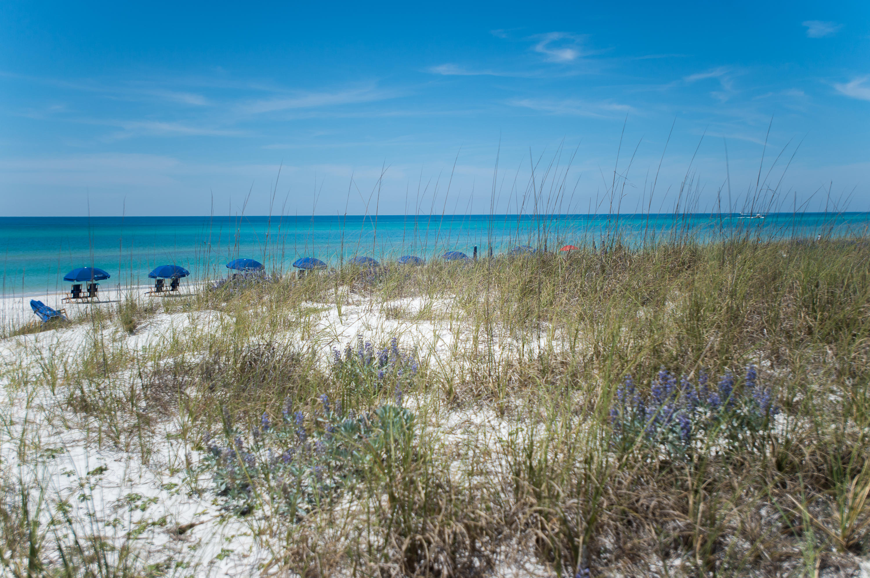 Water View - Residential